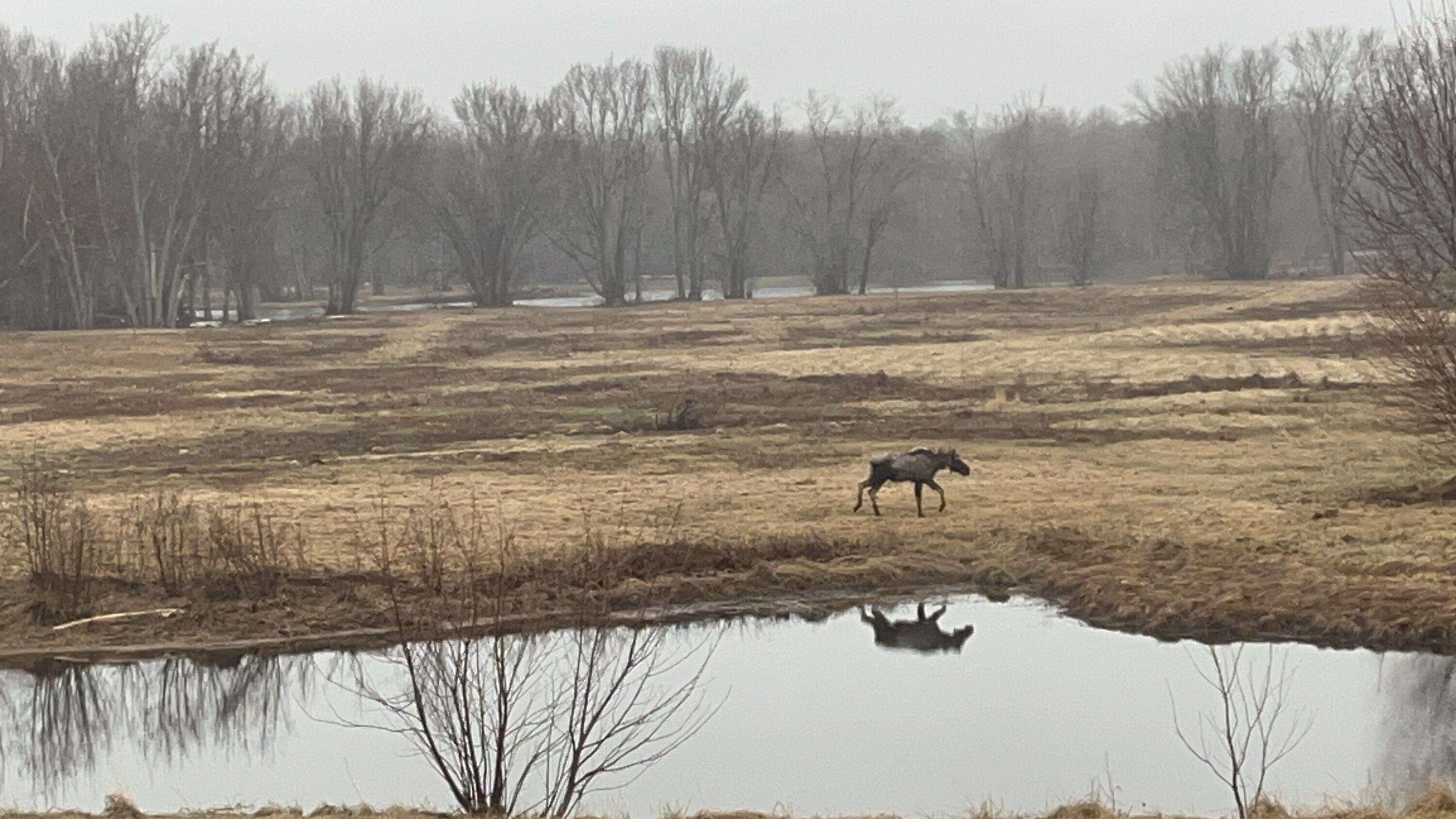 474 N Howland Road, Howland, ME, 04448