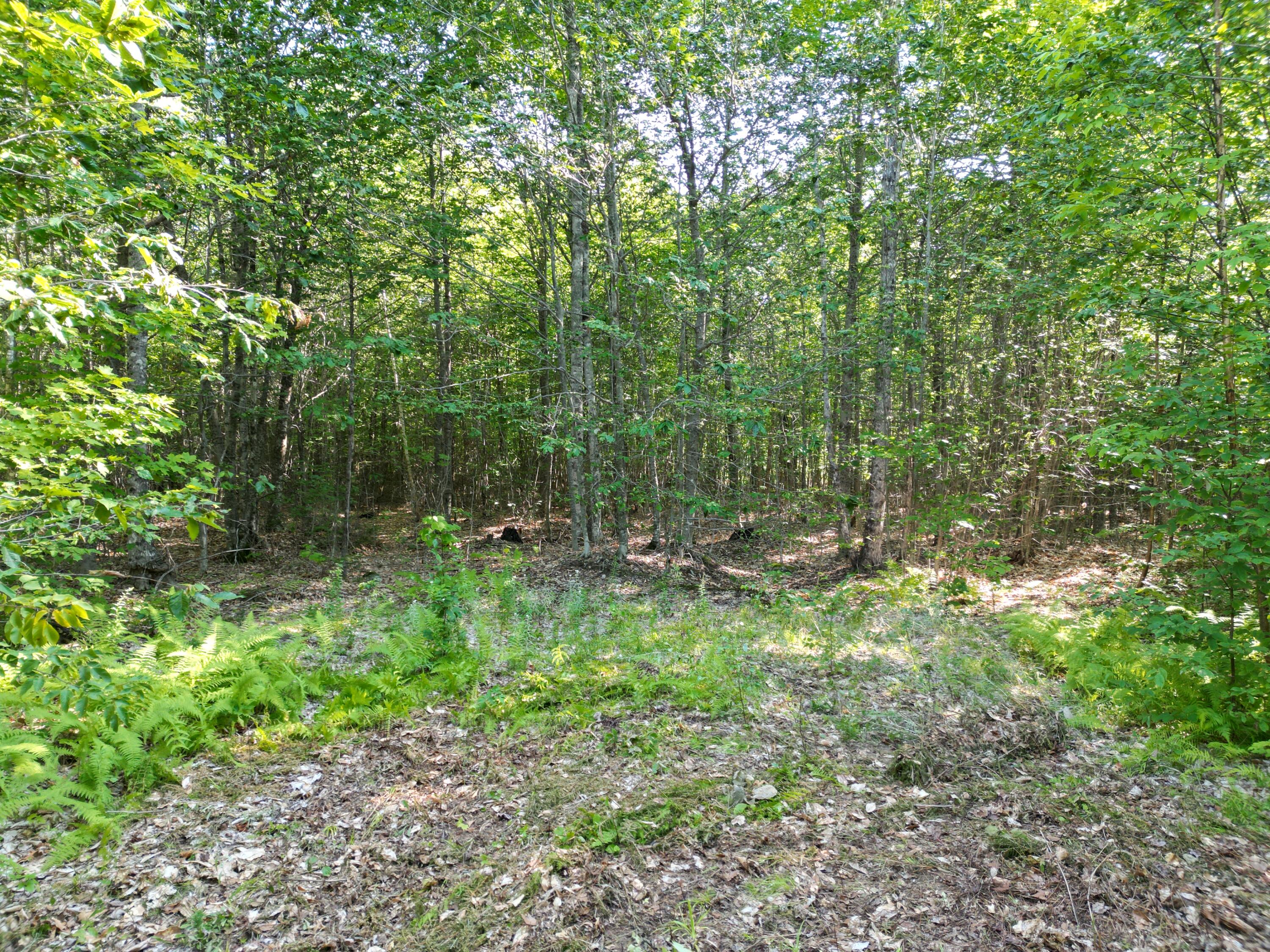 29 Spaulding Lane, Lee, ME 04455 DJI_0973