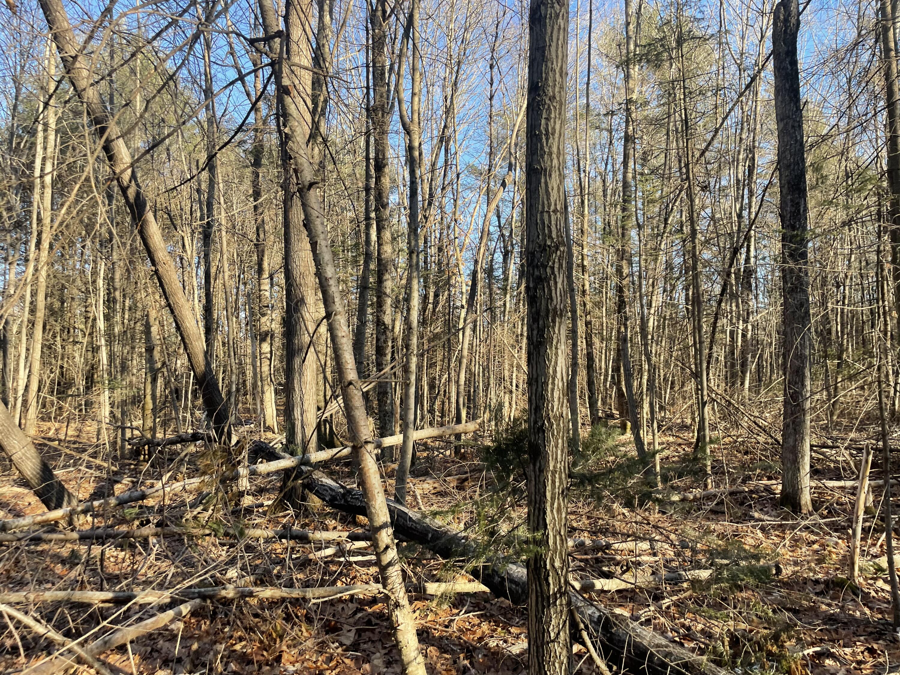 0 Cross Street, Manchester, ME, 04351