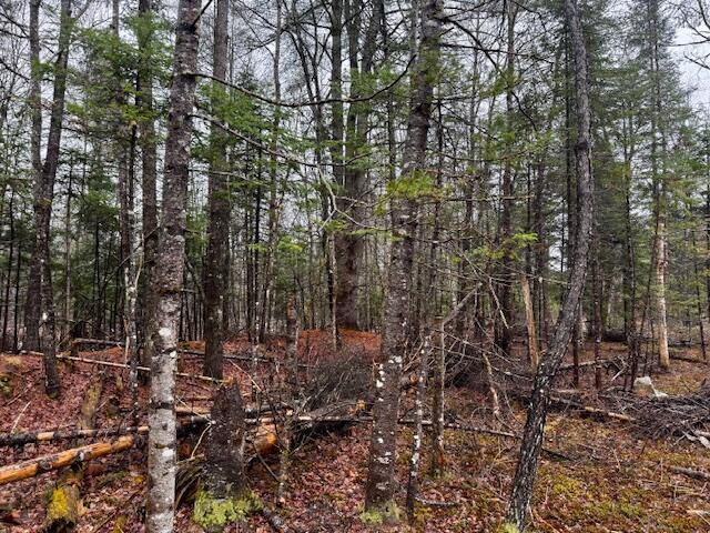 SO 001 Plan 2 Lot 16.1 Long Falls Dam Road, Lexington Twp, ME, 04961