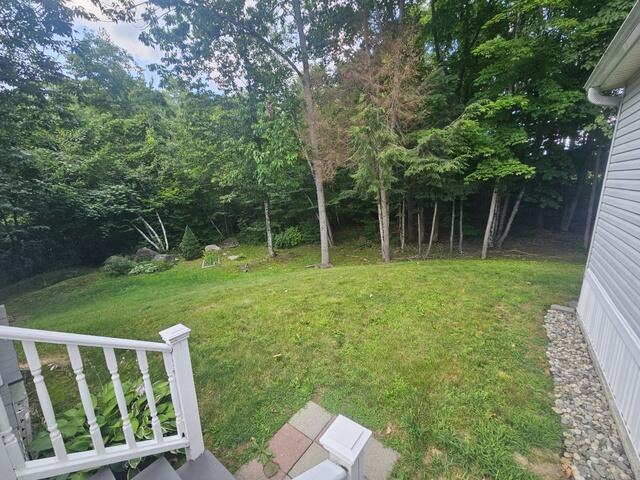 38 Back yard