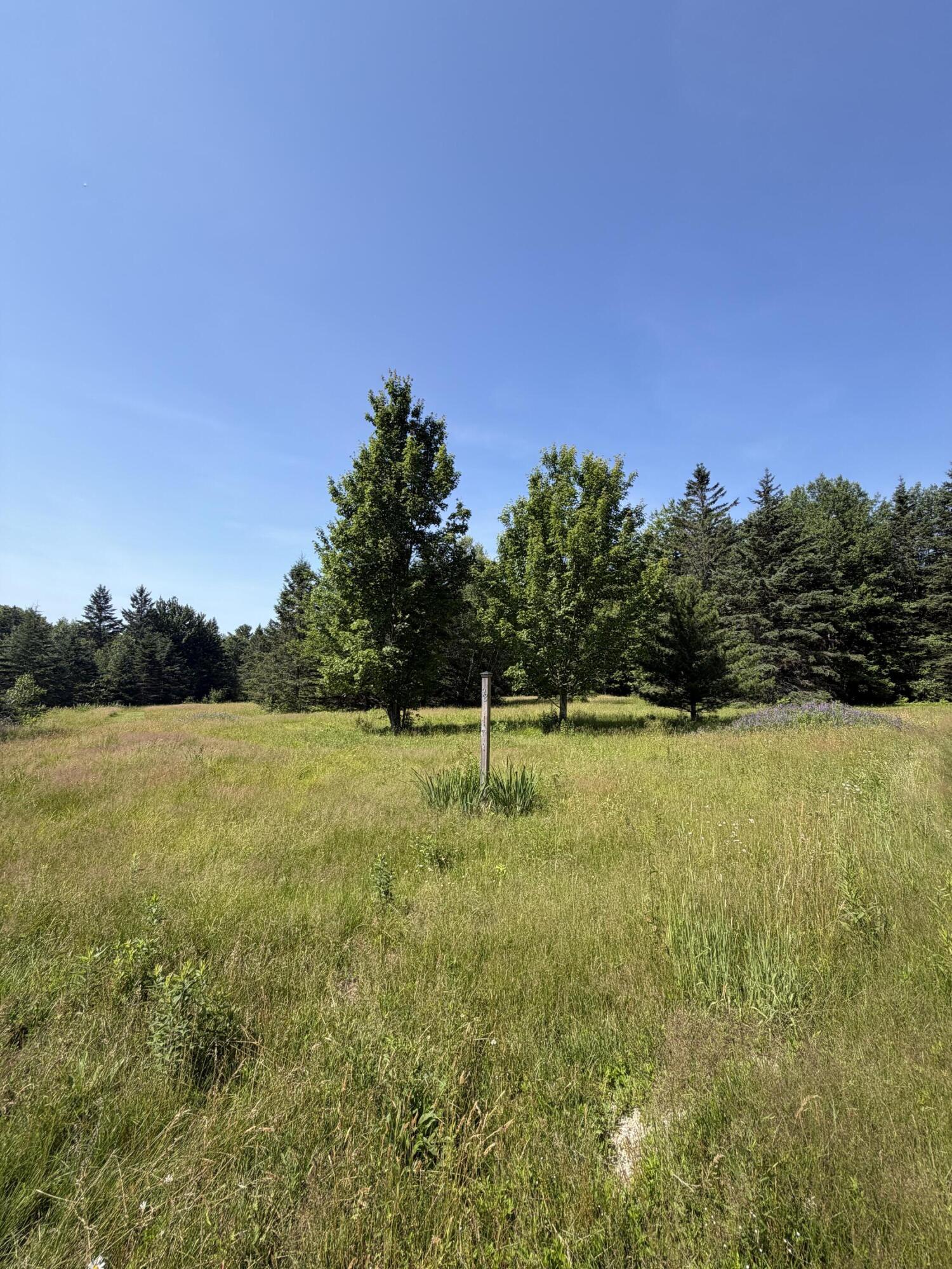 98 Bagaduce Lane, Sedgwick, ME 04676 IMG_2293