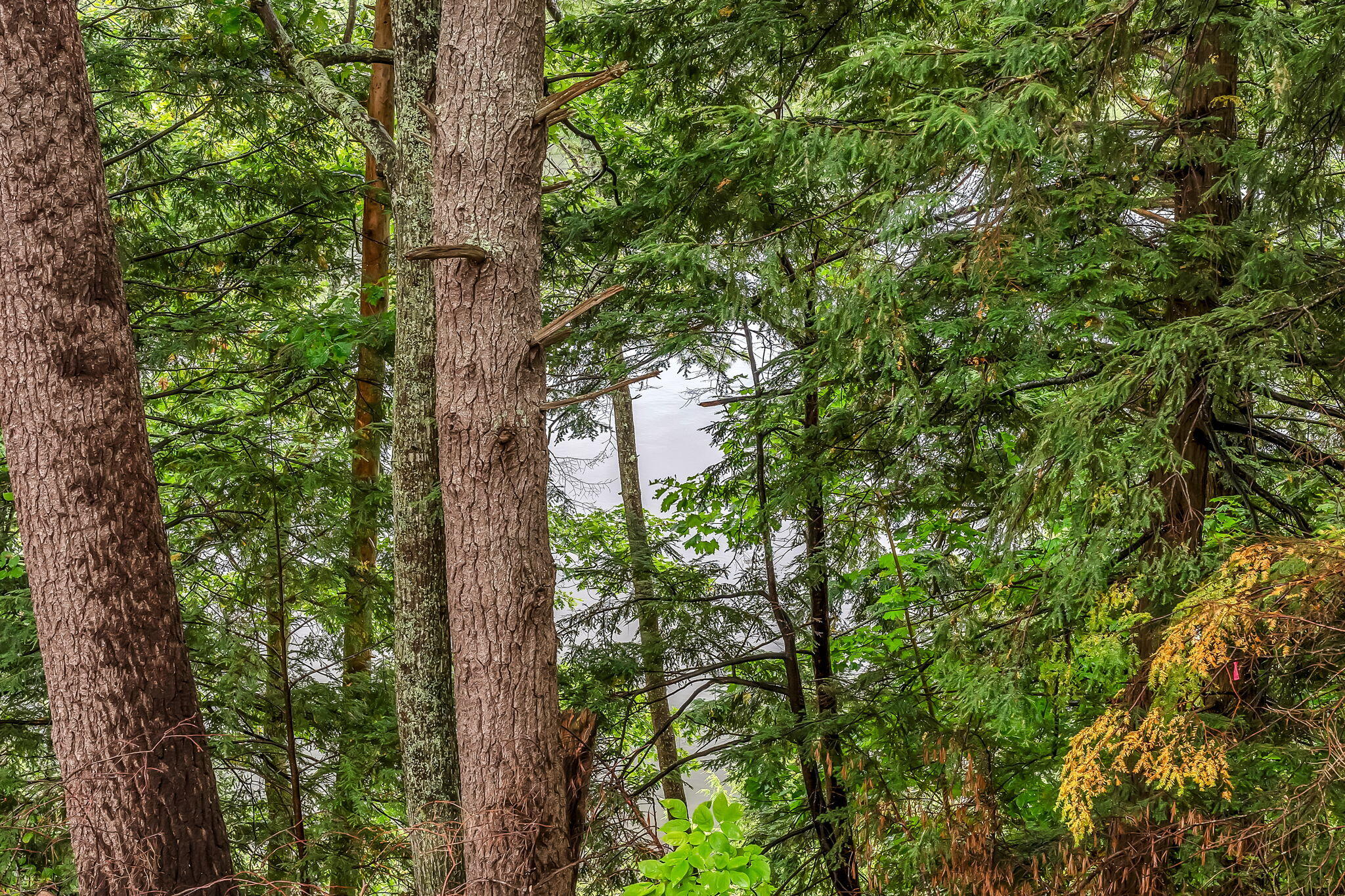 12 Rowell Road, Hampden, ME, 04444