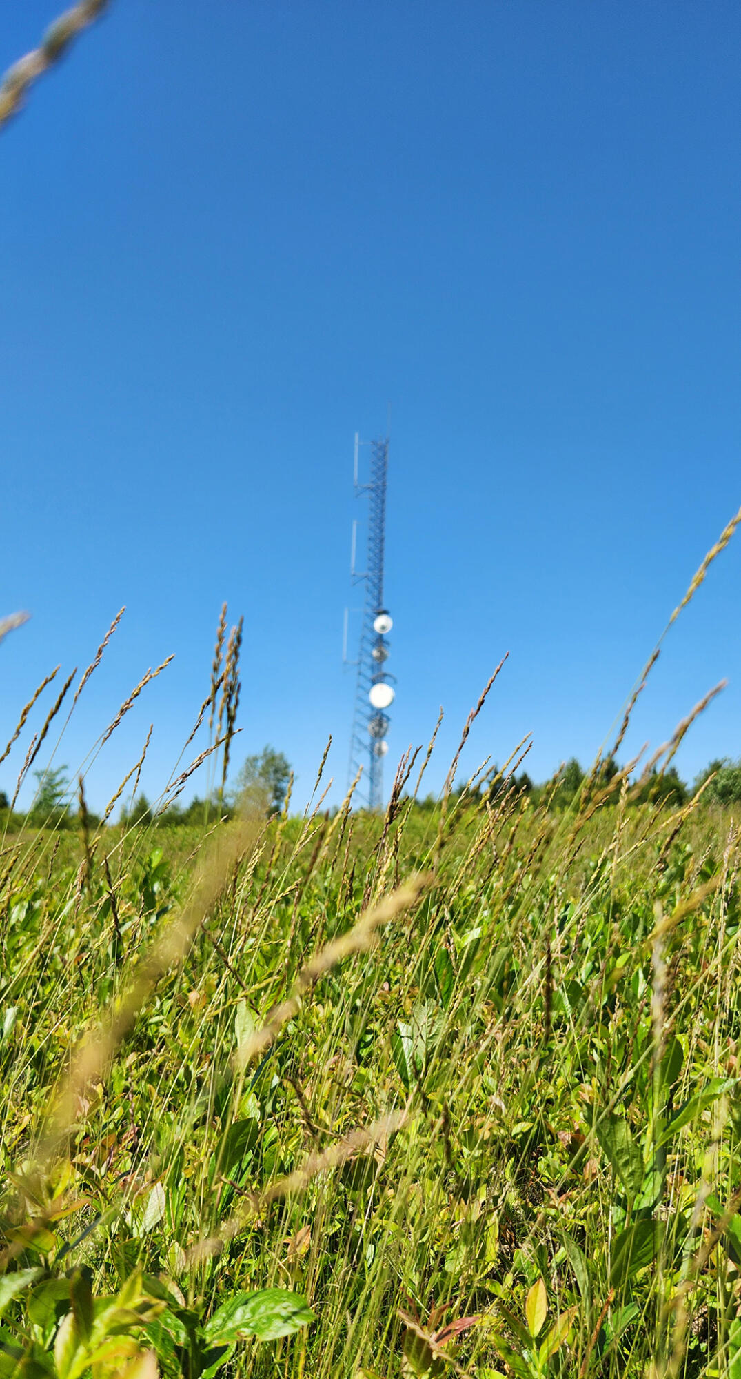 533 Mount Ephraim Map 4 Lot 63 Road, Searsport, ME, 04974