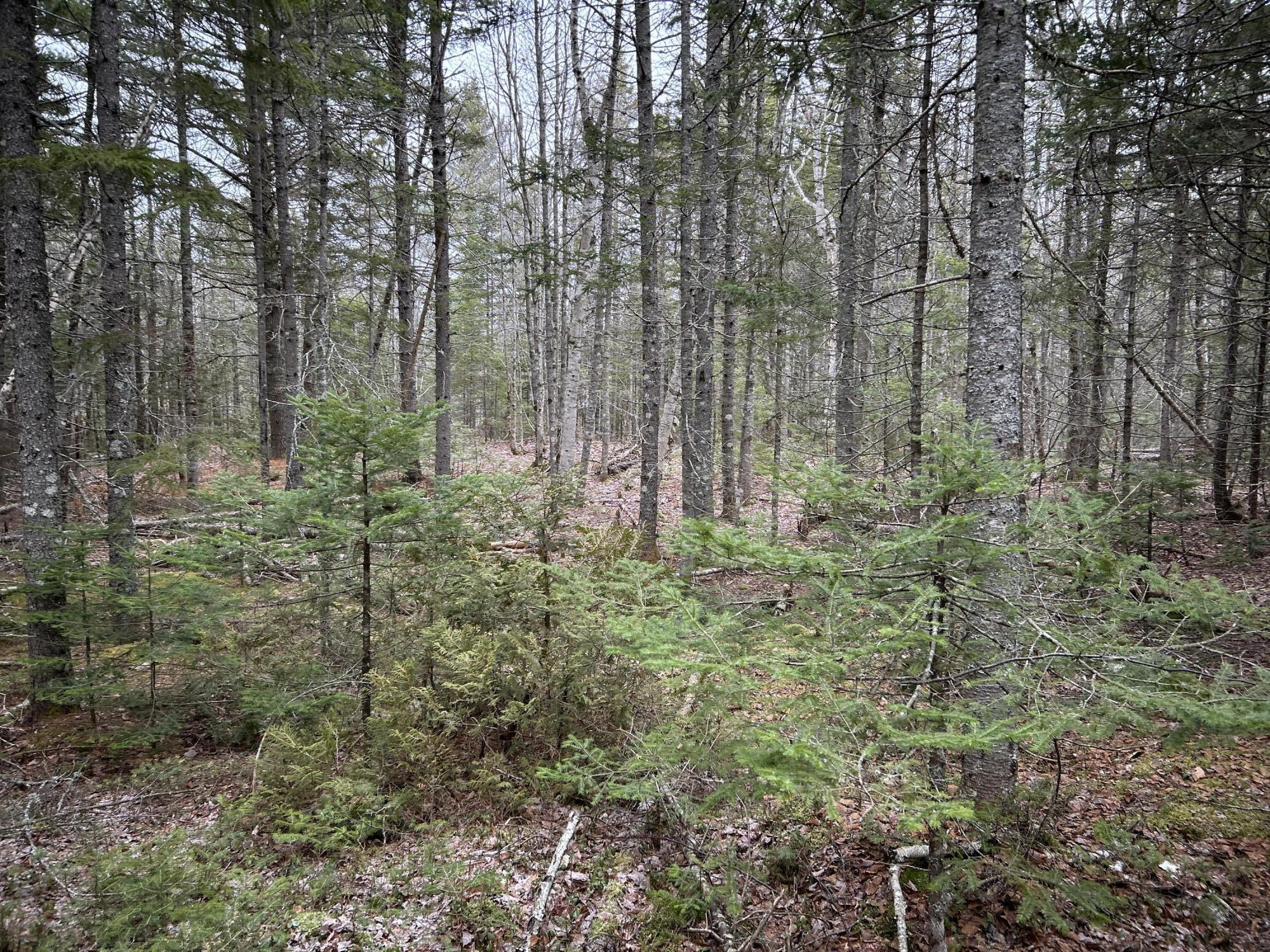 WA31P01L21 Kings Street, Dennysville, ME, 04628