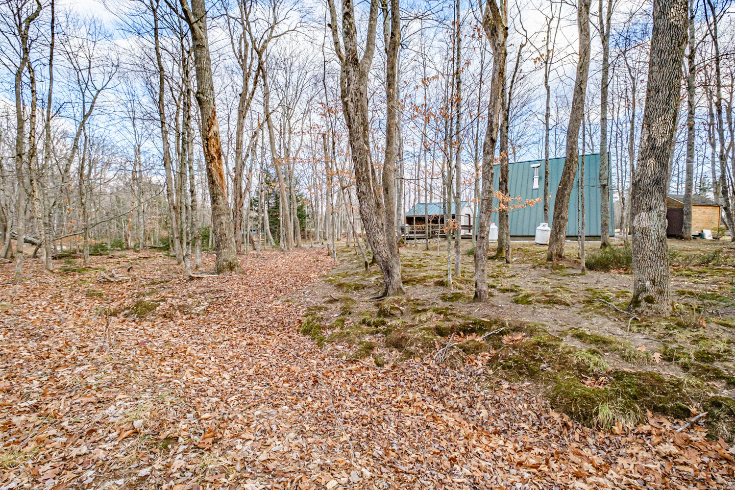 8 Deer Hill Road, Stow, ME, 04037