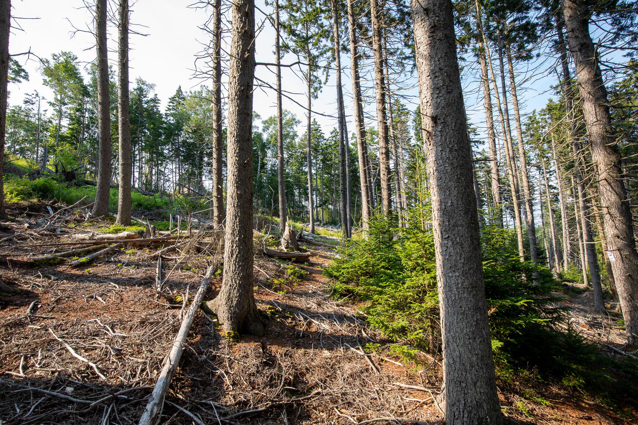 0 Bayview Road UNIT 2, Harpswell, ME, 04066