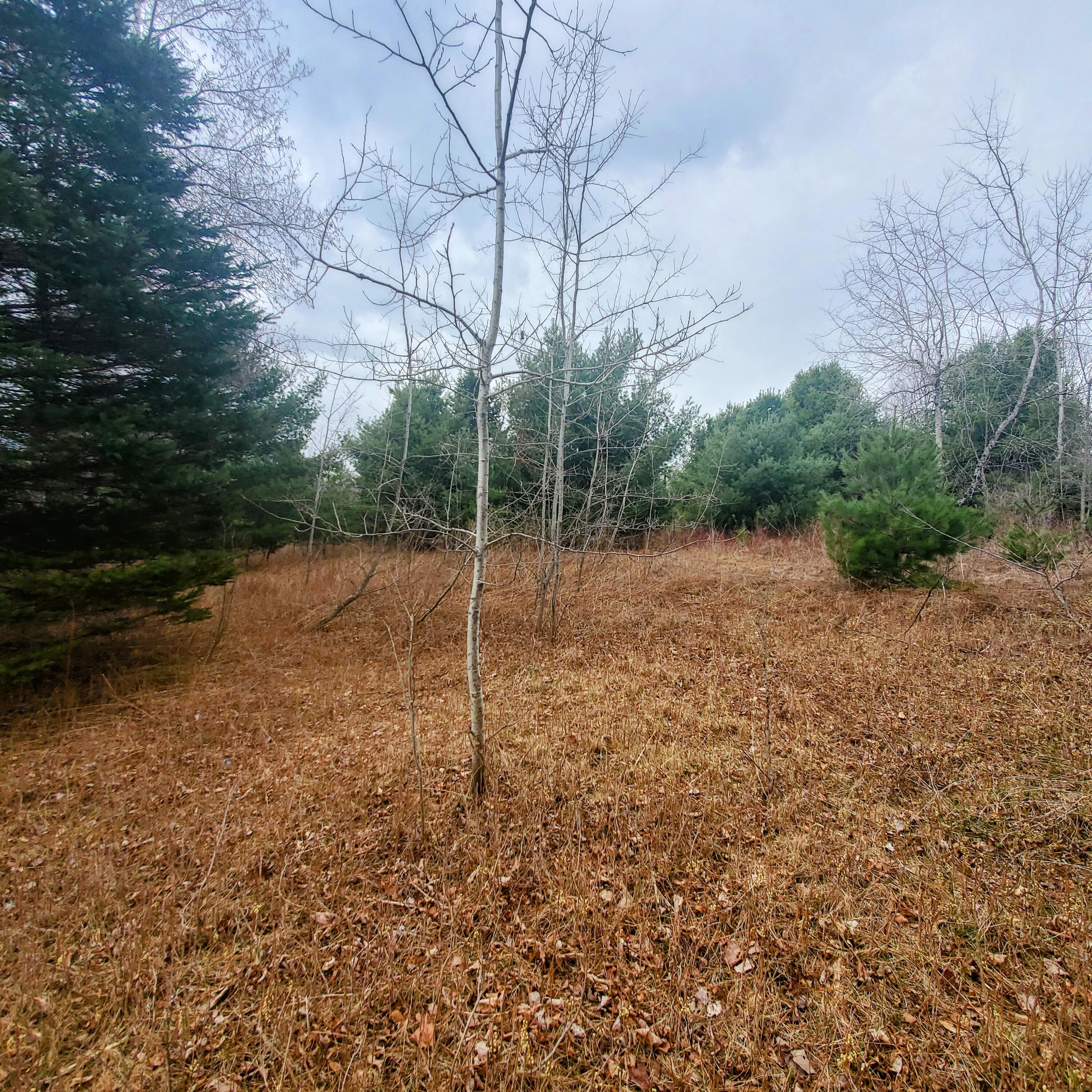 Lot 5 Dexter Road, Cambridge, ME, 04923