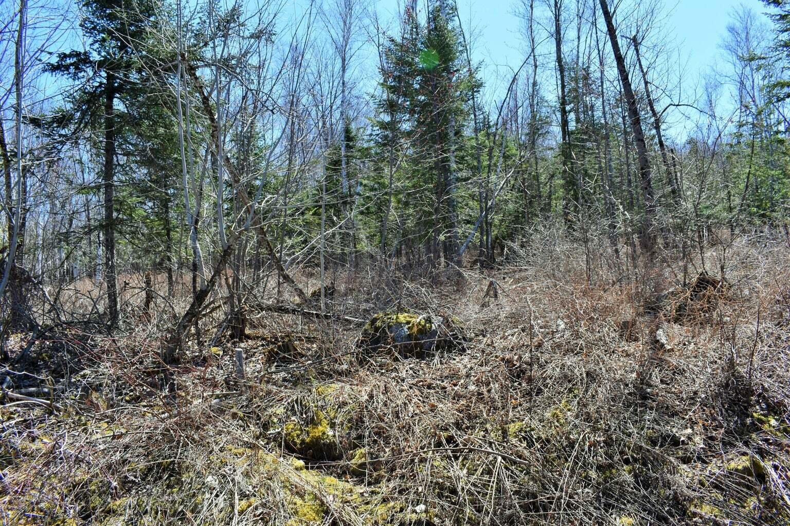 PO72,P090 Cotta Lane & RT 43, Saint Albans, ME, 04971