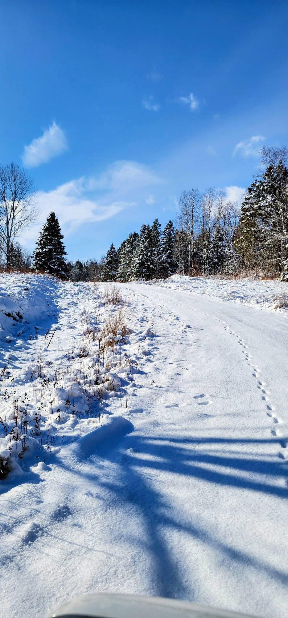 Lot 52 US- Route 1, Robbinston, ME, 04668