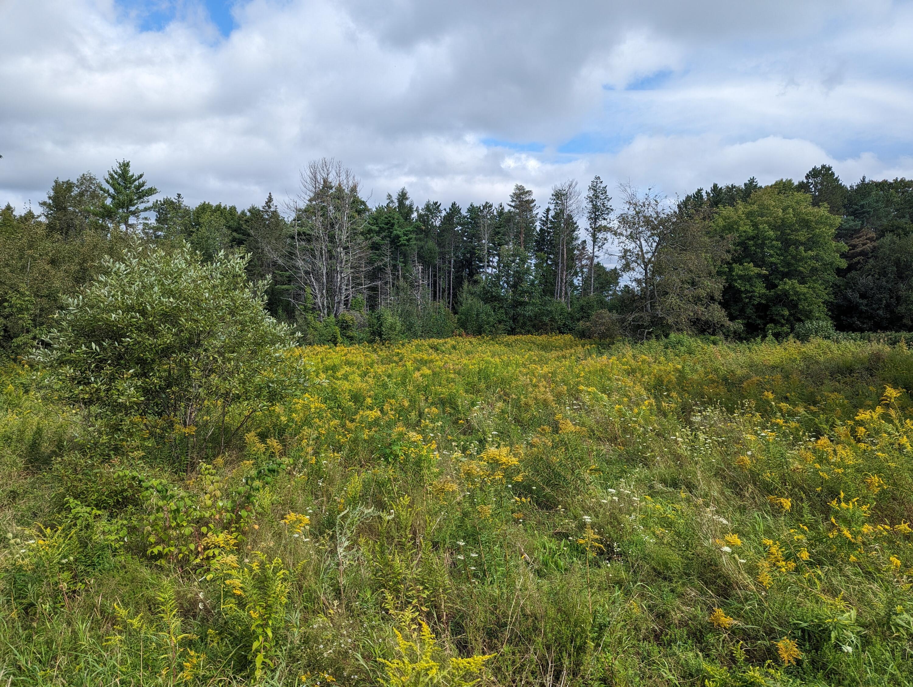 Property photo for TBD Western Avenue, Hampden, ME