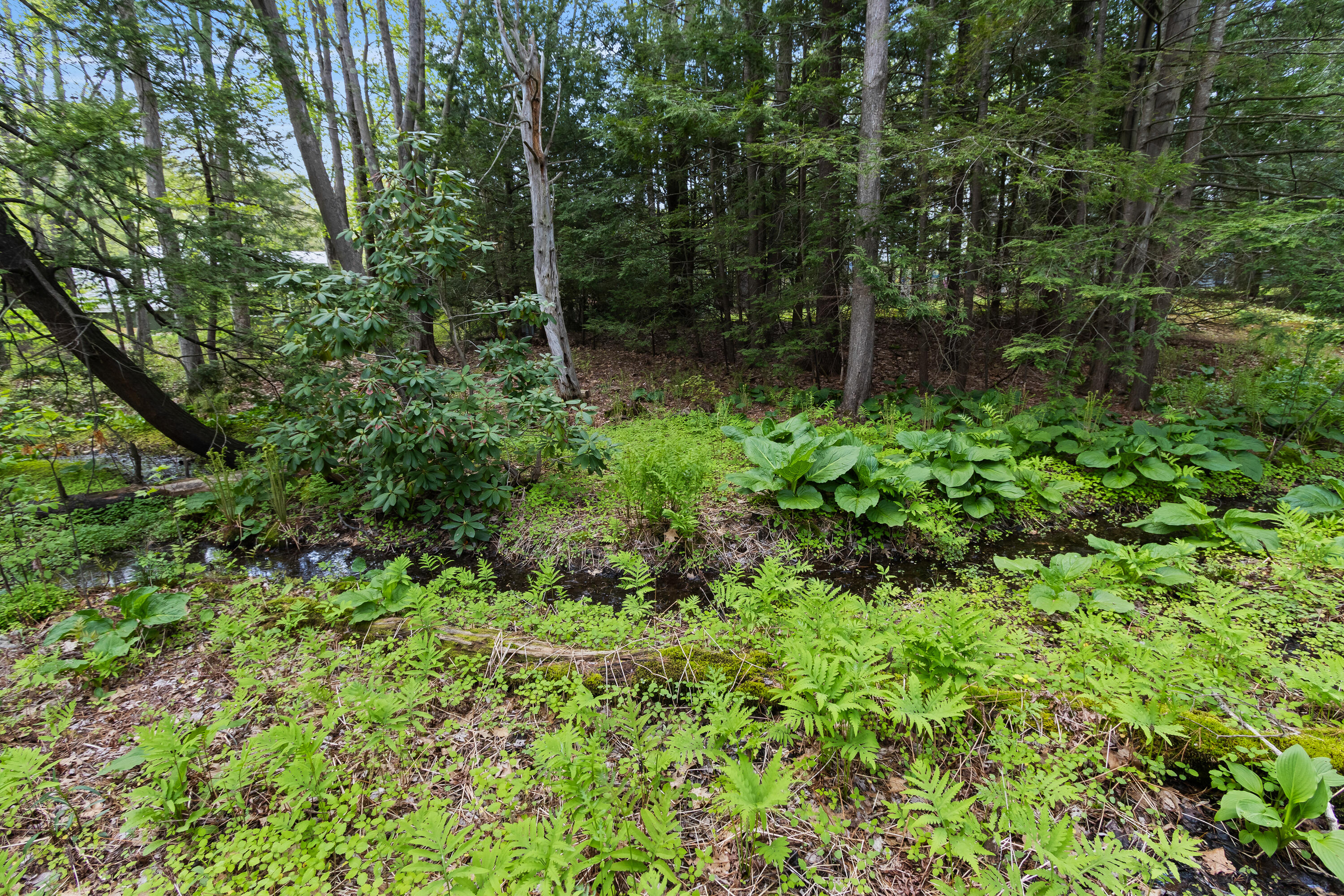 Beautiful Little Stream out back