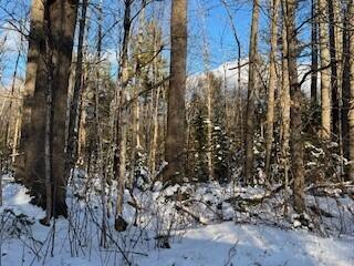 Lot 045 Sawyer Notch Road, Andover, ME, 04216
