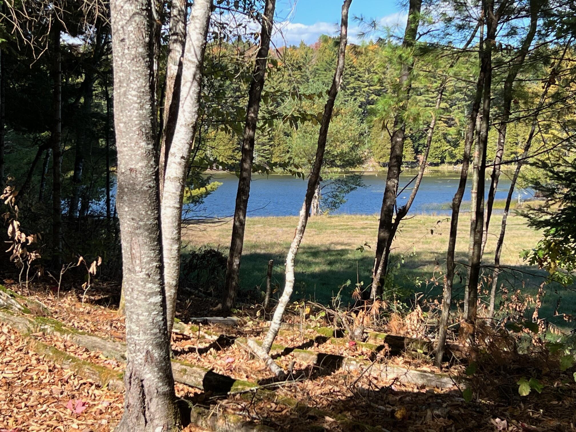 Map 10 Lot 68A Snows Pond Road, Dover-foxcroft, ME, 04426