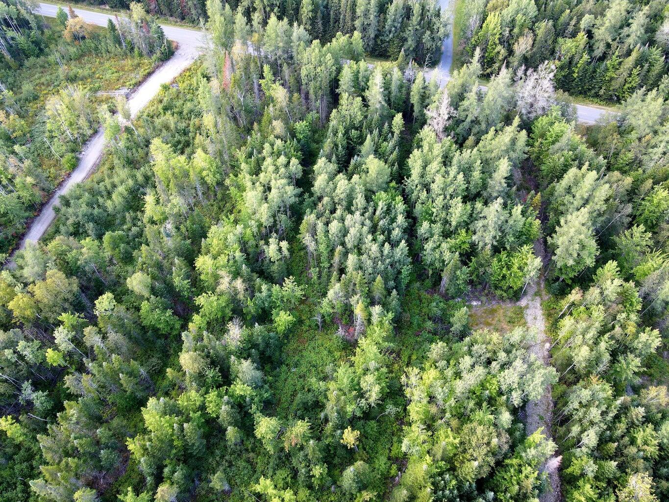 L37&72 Beaulieu Road, Connor Twp, ME, 04736
