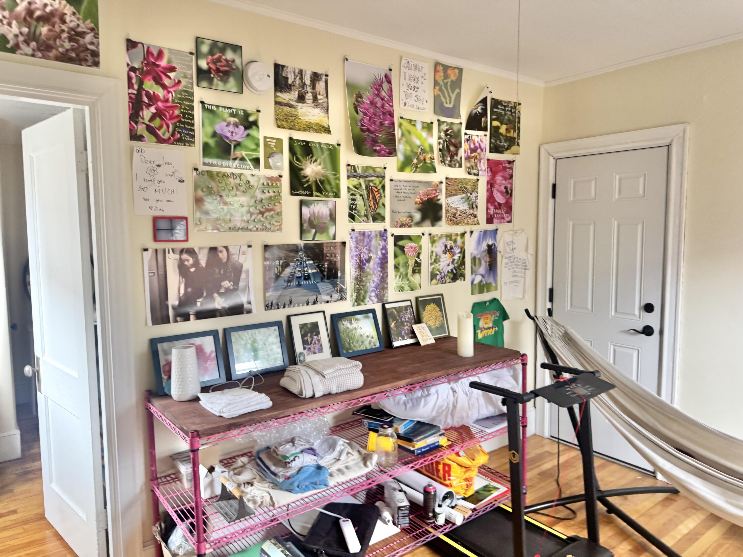 9 Grasmere Road, Portland, ME, 04101