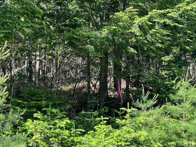 Lot UNIT&nbsp;5 Bonnie Way, Winterport, ME, 04496