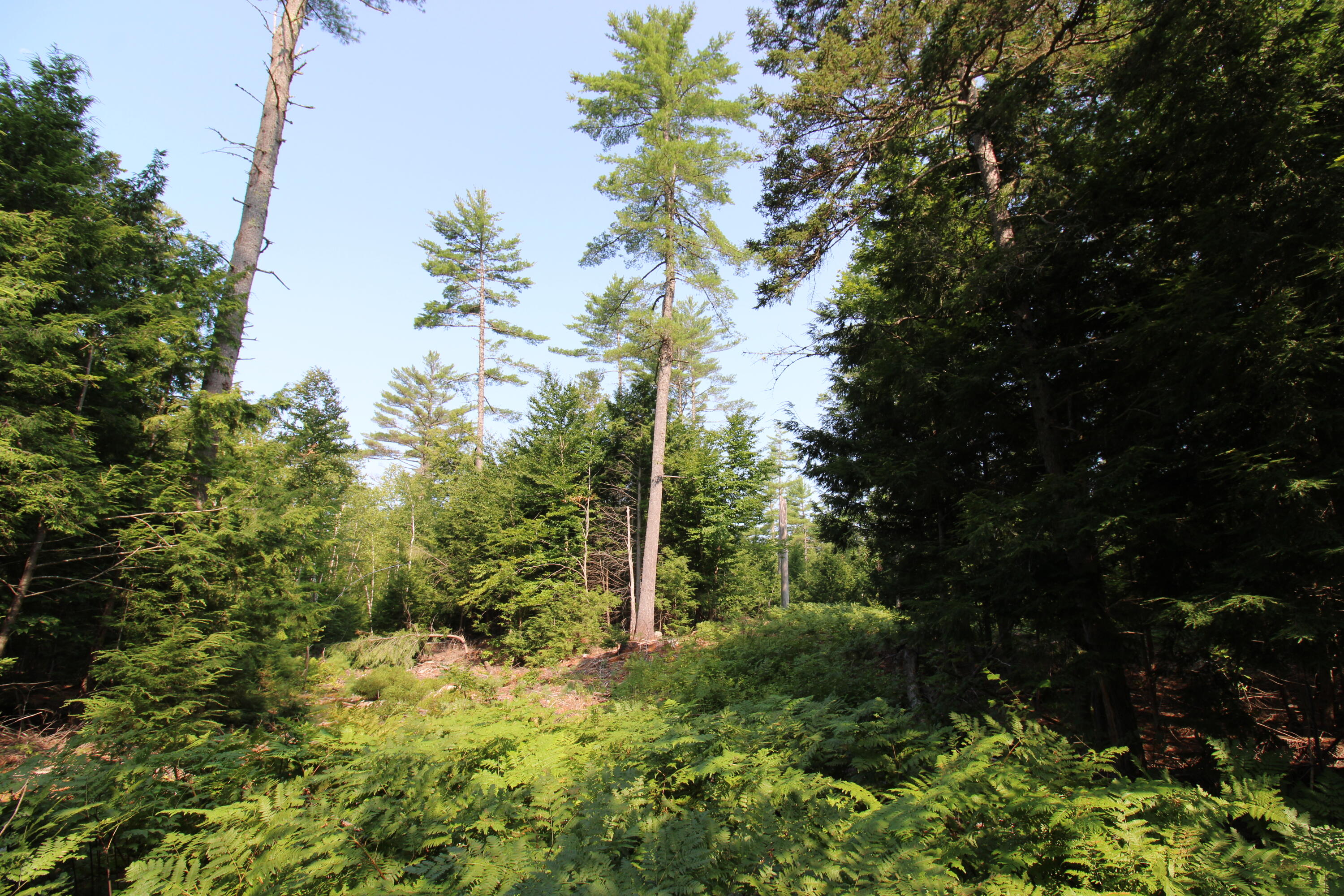 Lot 12 Bear Pond Road, Waterford, ME, 04088