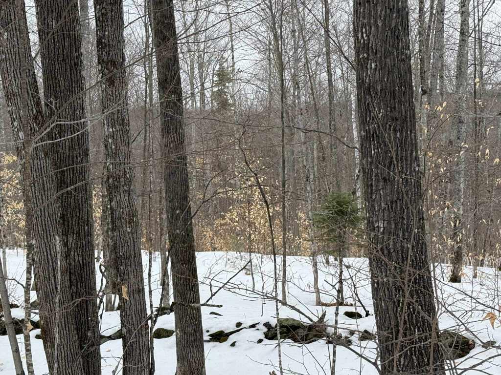 Lot 005 Greenwood Brook Road, Industry, ME, 04938