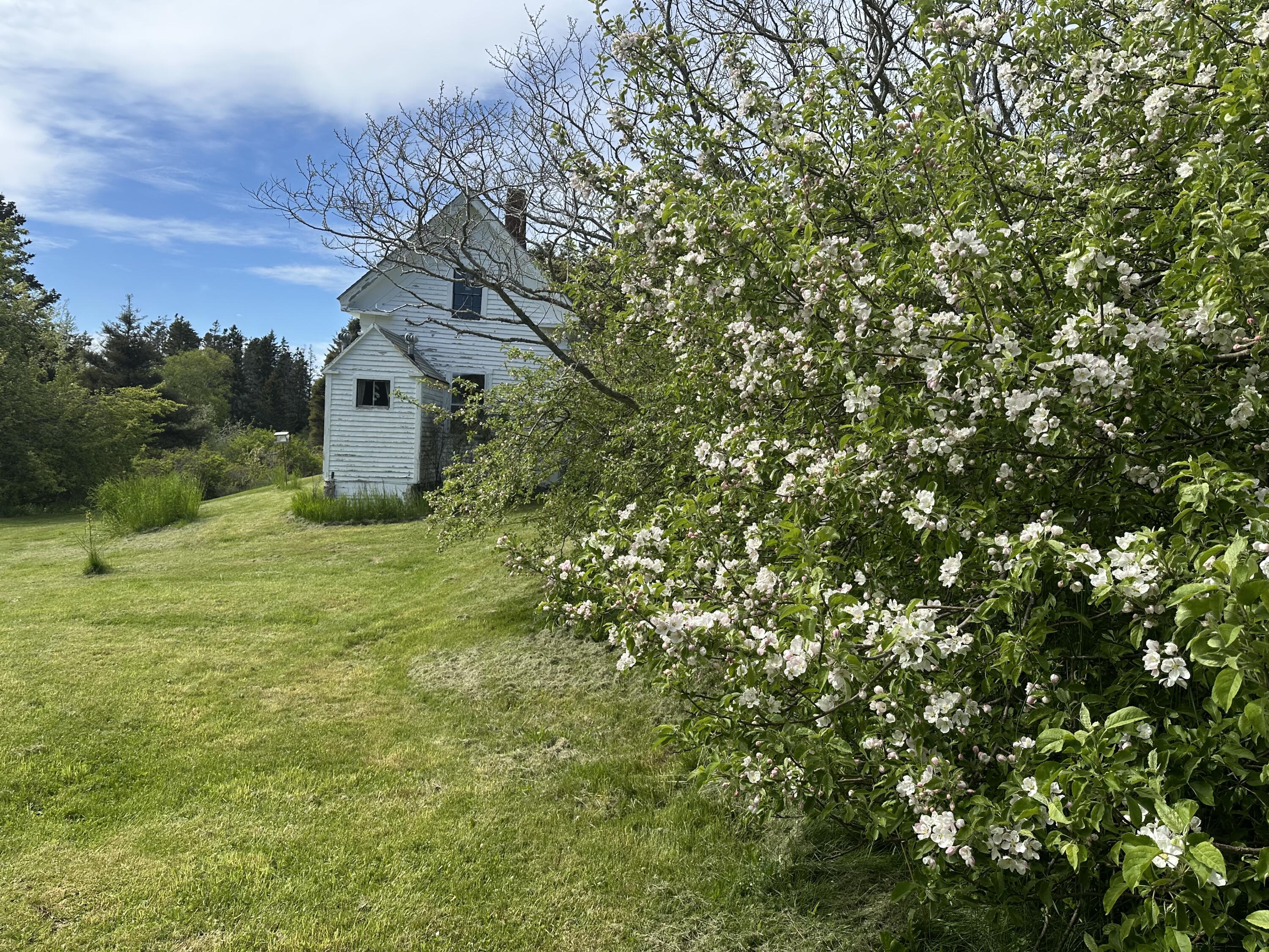 53 Ice Pond Lane, Matinicus Isle Plt, ME, 04851