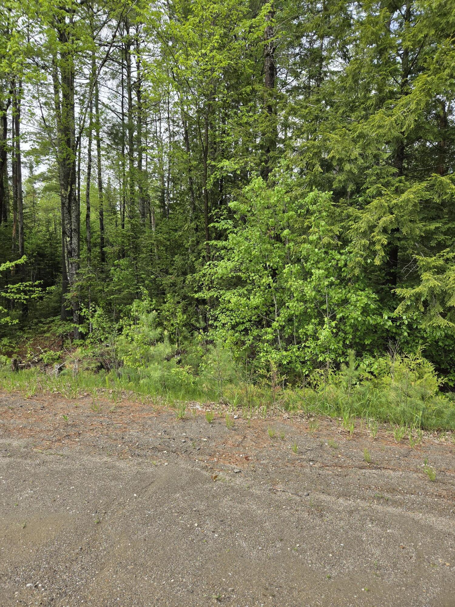 Photo of Lot 81-1 Lower Detroit Road Plymouth ME 04969
