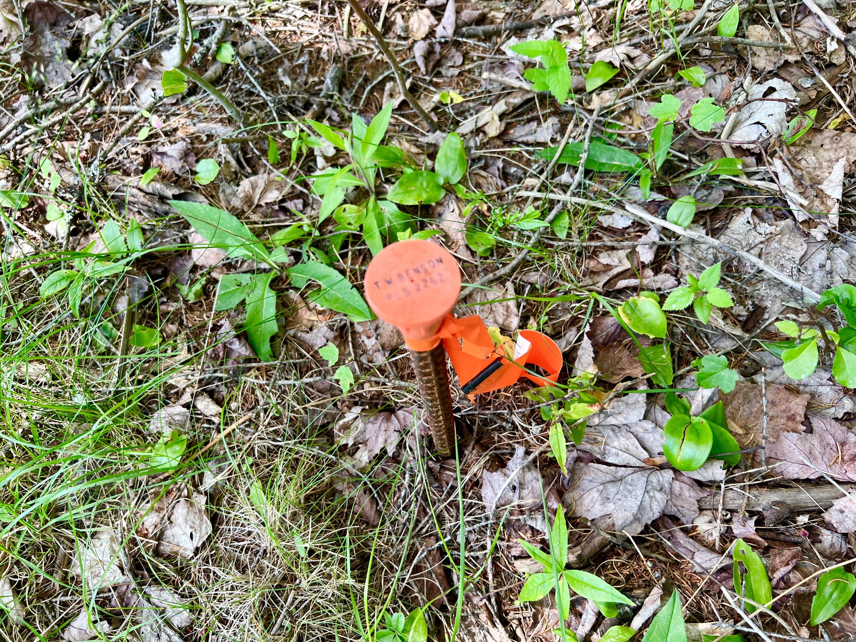 142 Seal Cove Road, Southwest Harbor, ME, 04679