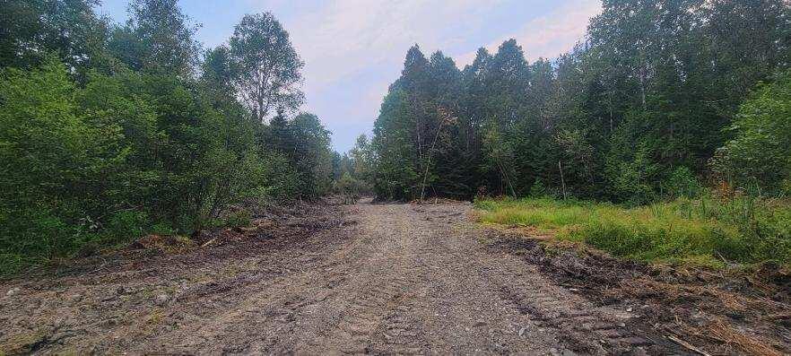 005-005 Grendell Road, Chapman, ME, 04757