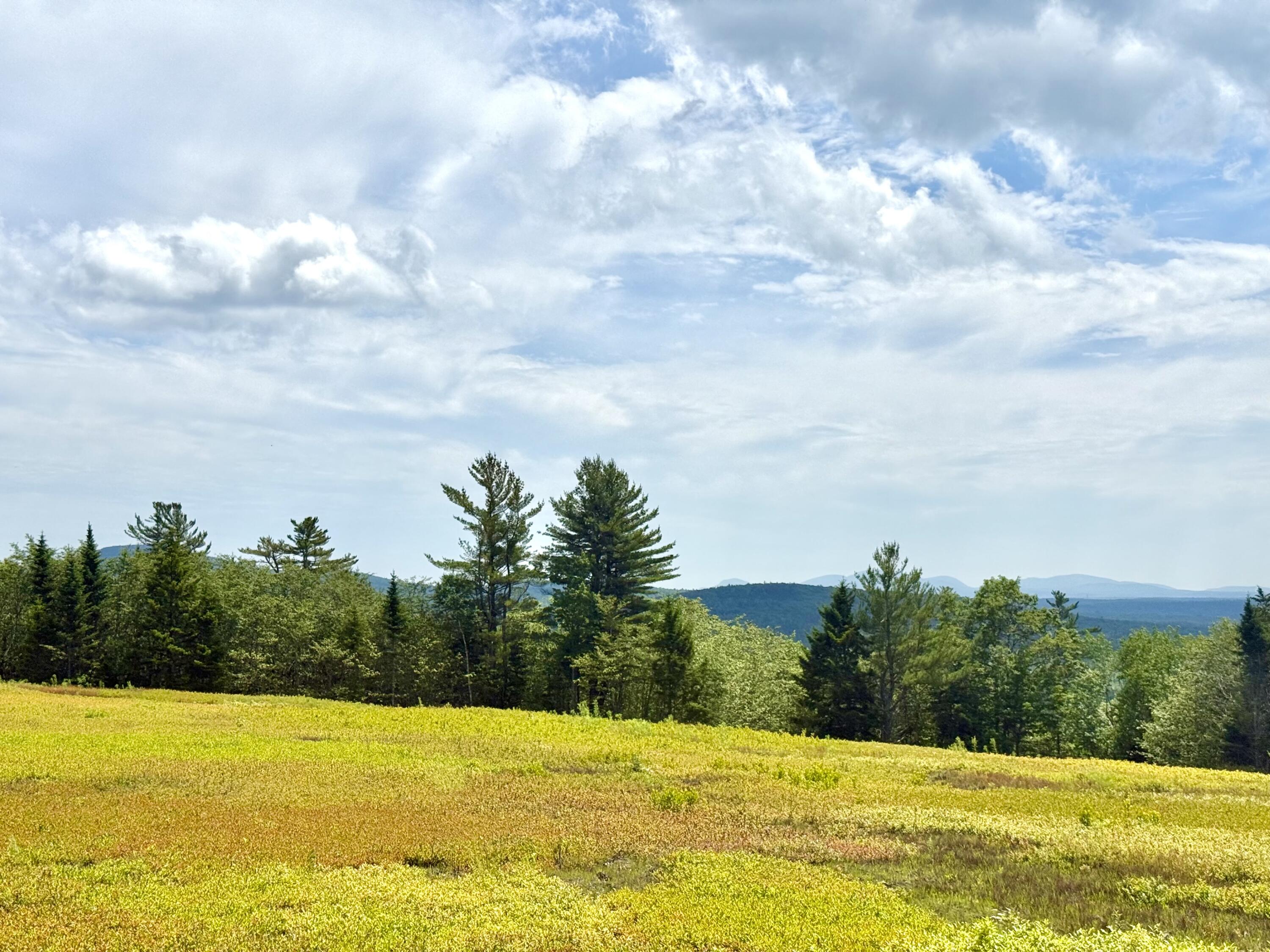 MAP13LOT11 Martins Ridge Road, Franklin, ME, 04634