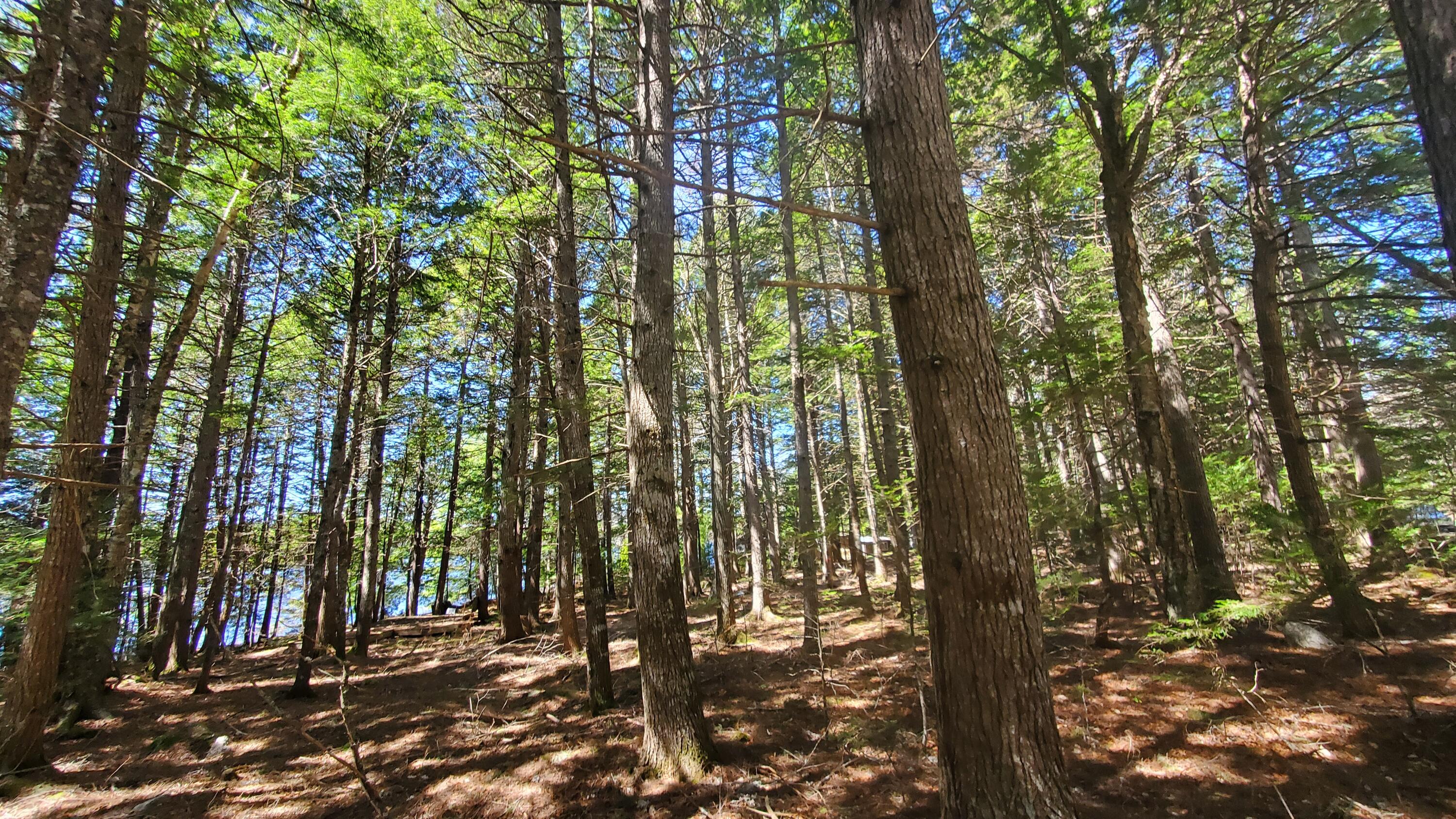 307 Lakeville Shores Road, Lakeville, ME, 04487
