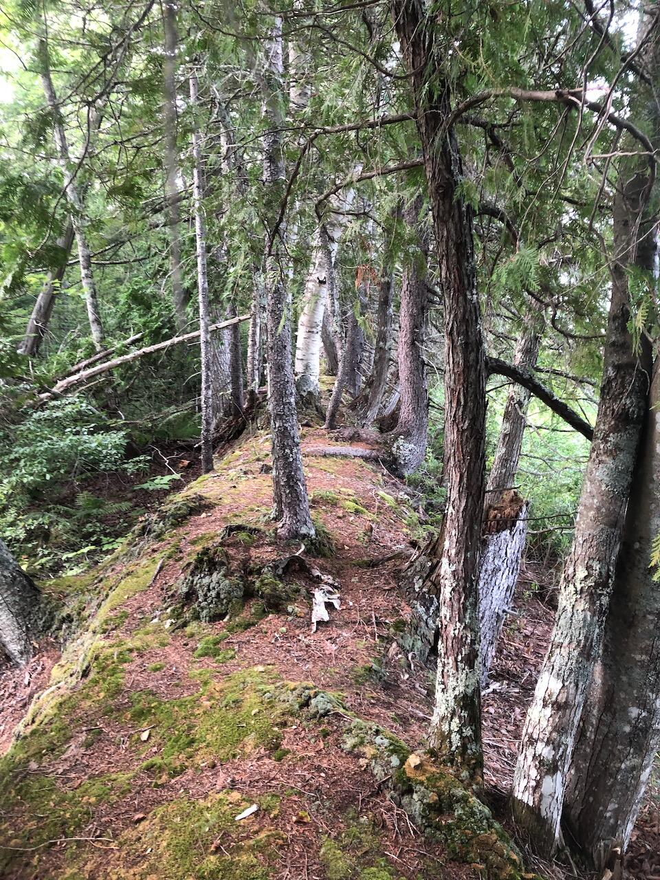 06 Swett Brook Lane, Weld, ME, 04285