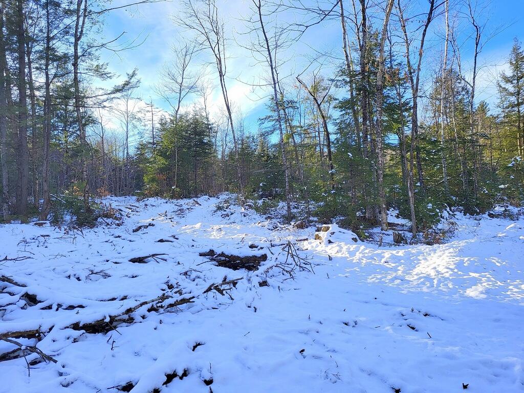 Lot 62.2 Reeds Mill Road, Madrid Twp, ME, 04966