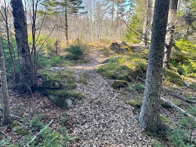 Lot 016-2 142 Old Fisher Rd Road, Holden, ME, 04429