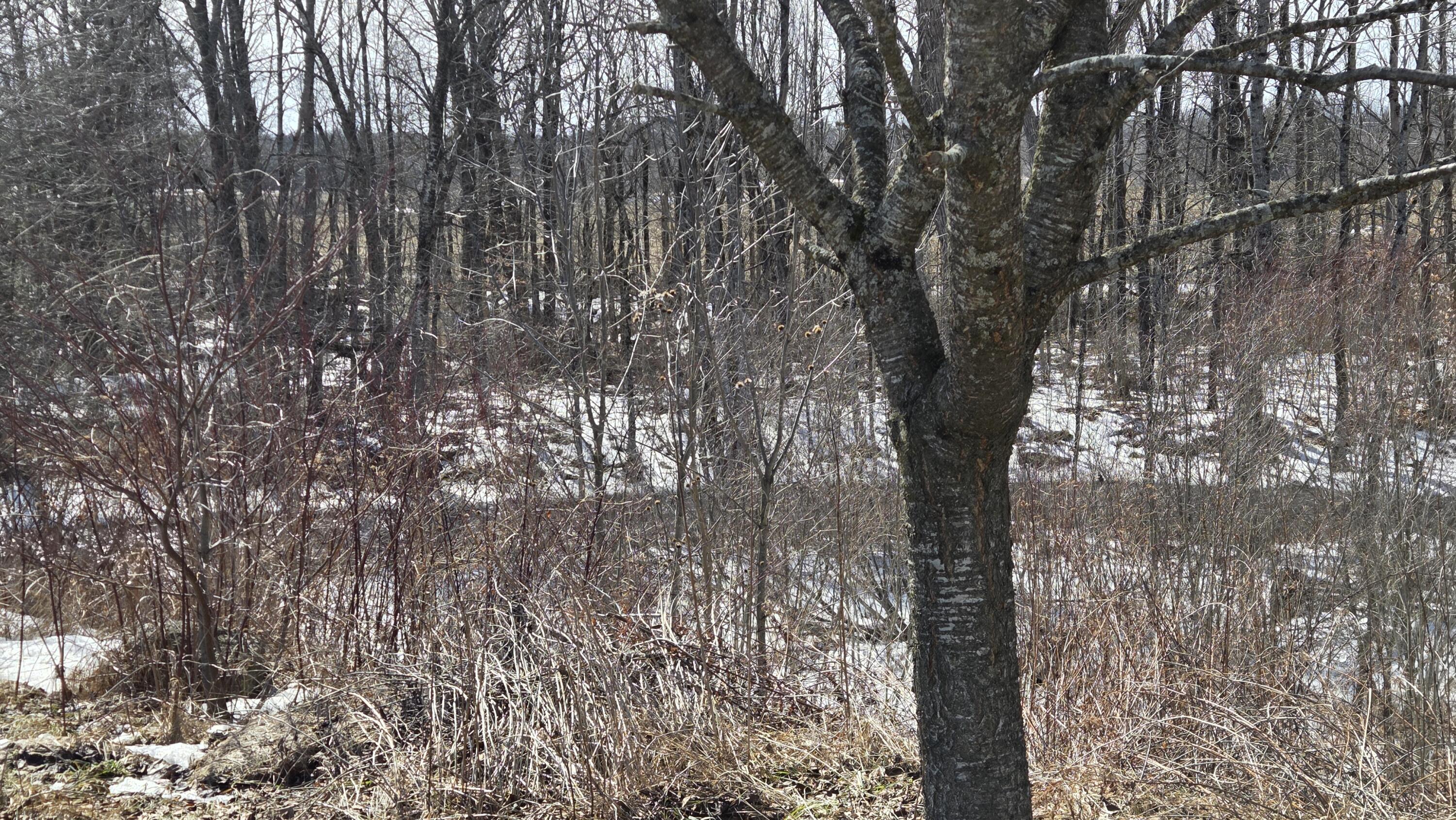 508 Horseback Road, Clinton, ME, 04927