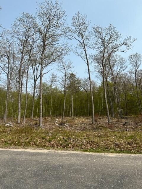 Lot 17 Birch Circle, Harrison, ME, 04040