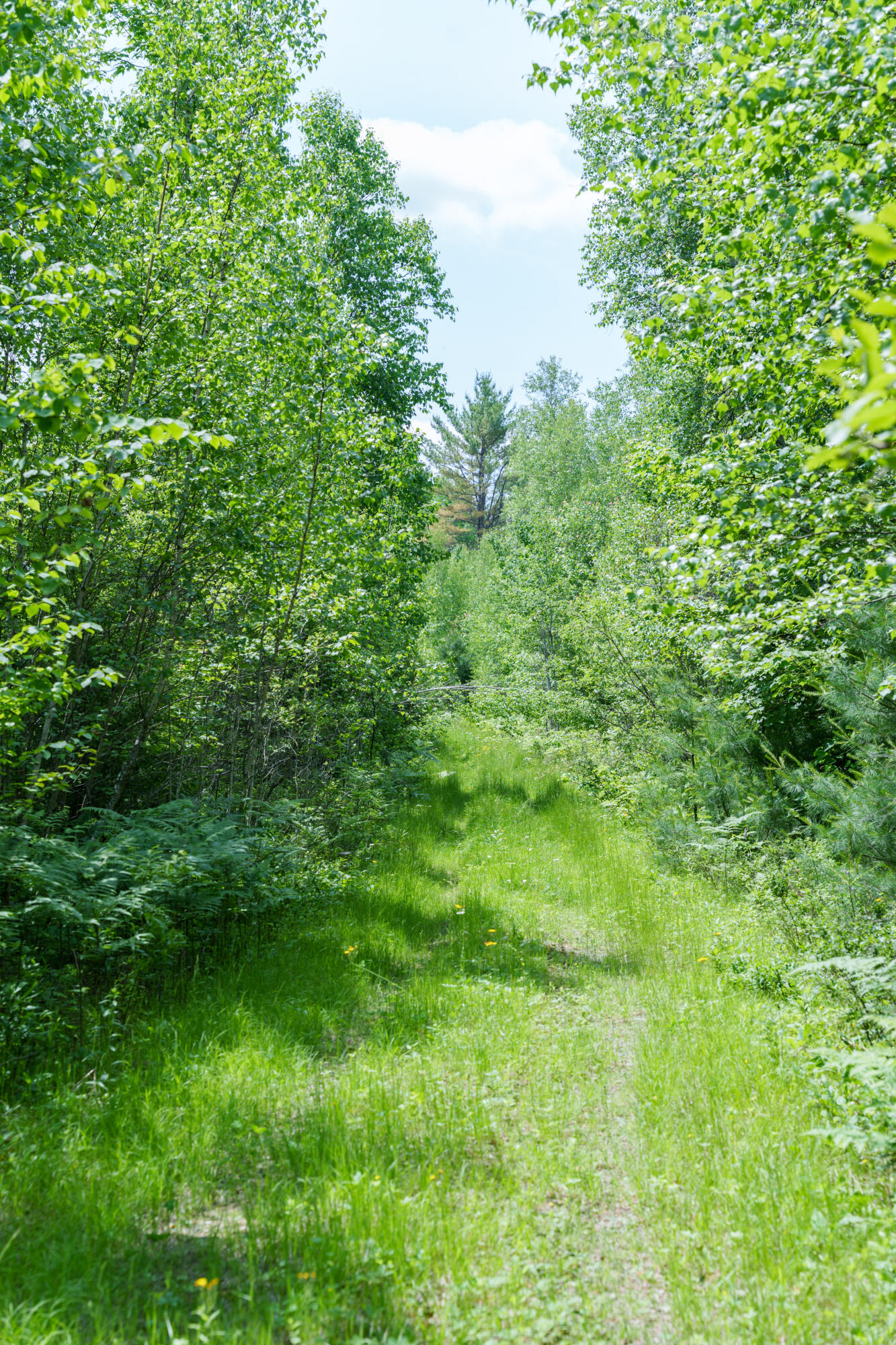Lot 26-37 Otter Trail, Greenbush, ME, 04418