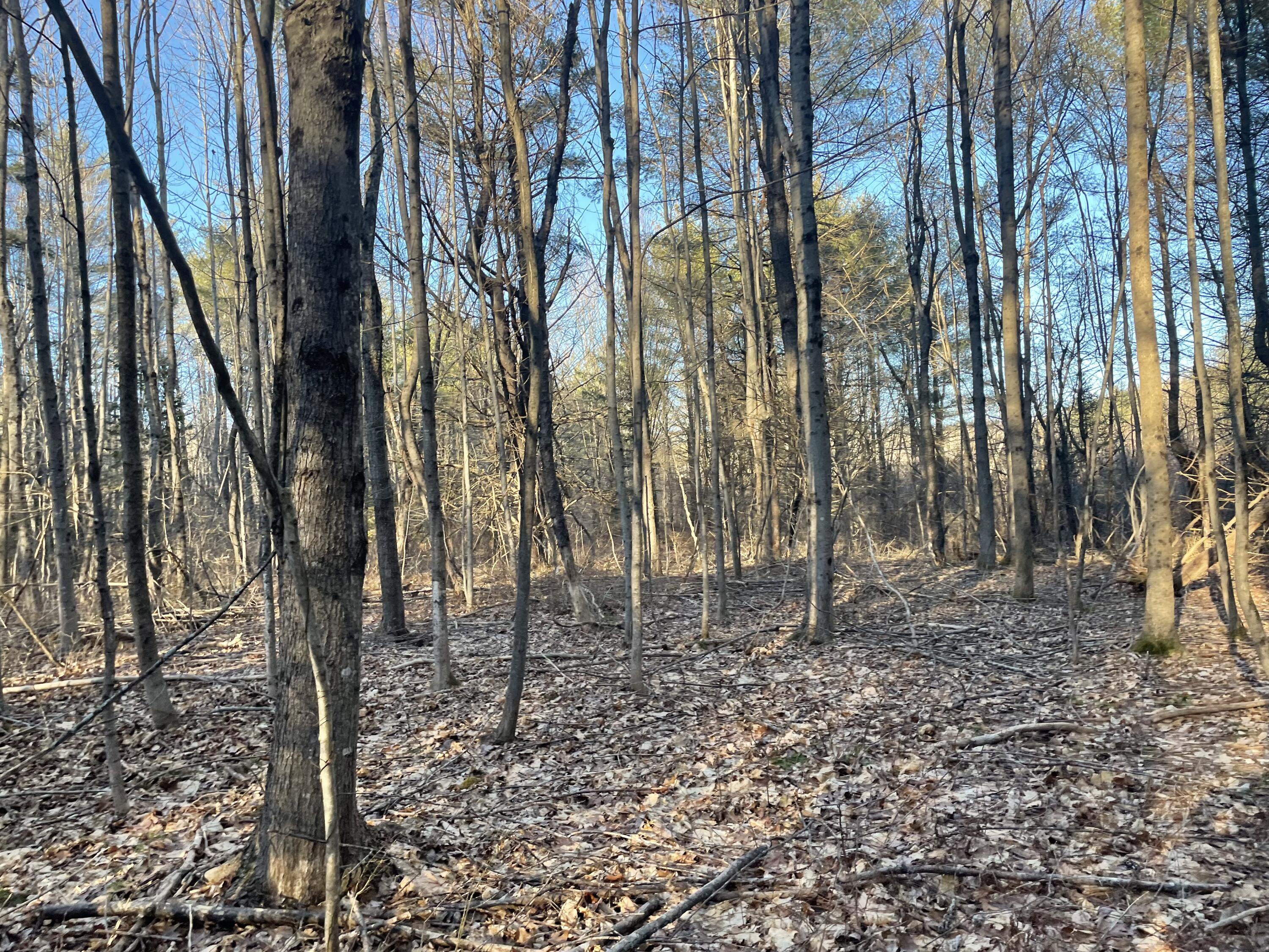 0 Cross Street, Manchester, ME, 04351