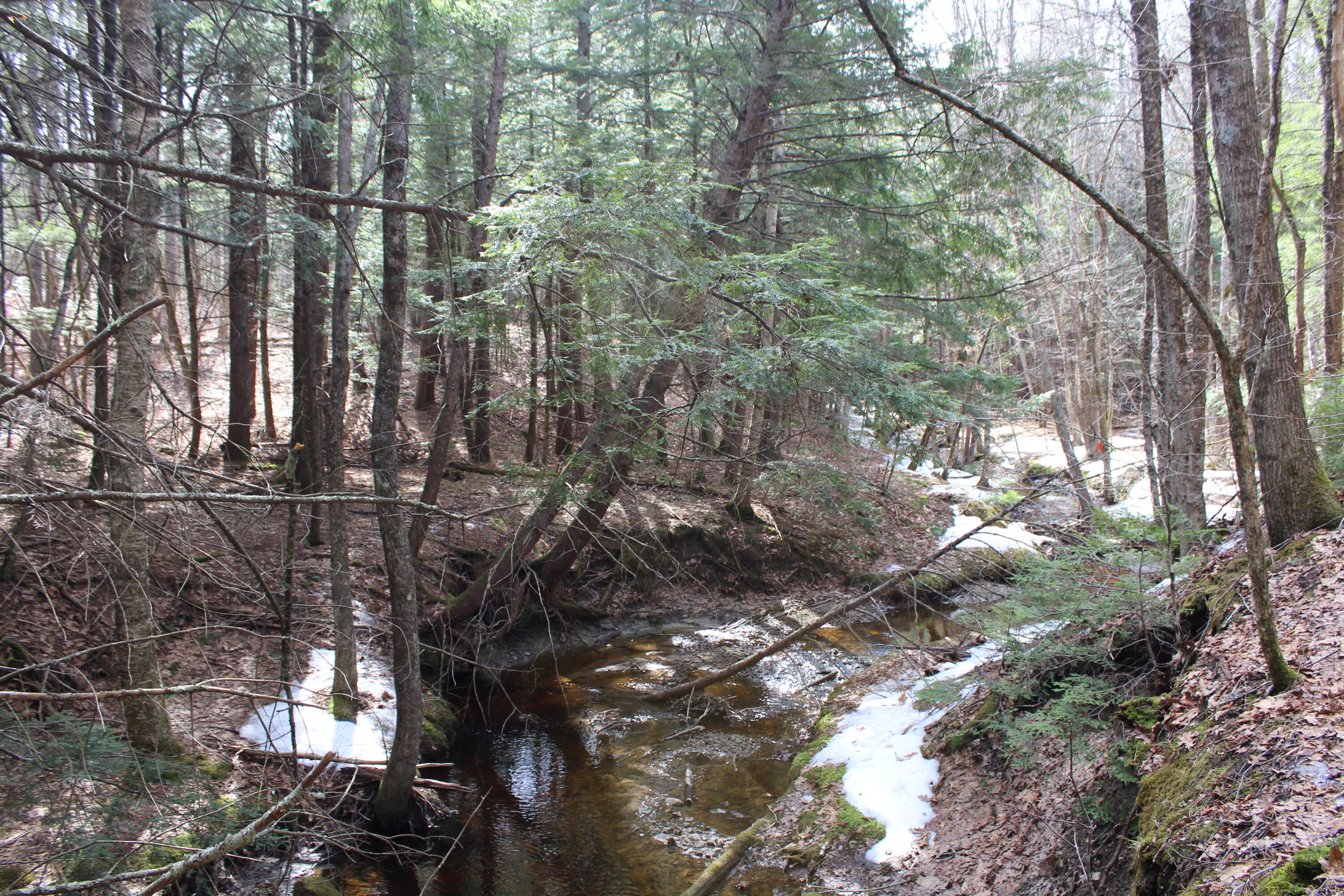 Lot 00E Knight Farm Road, Kennebunk, ME, 04043