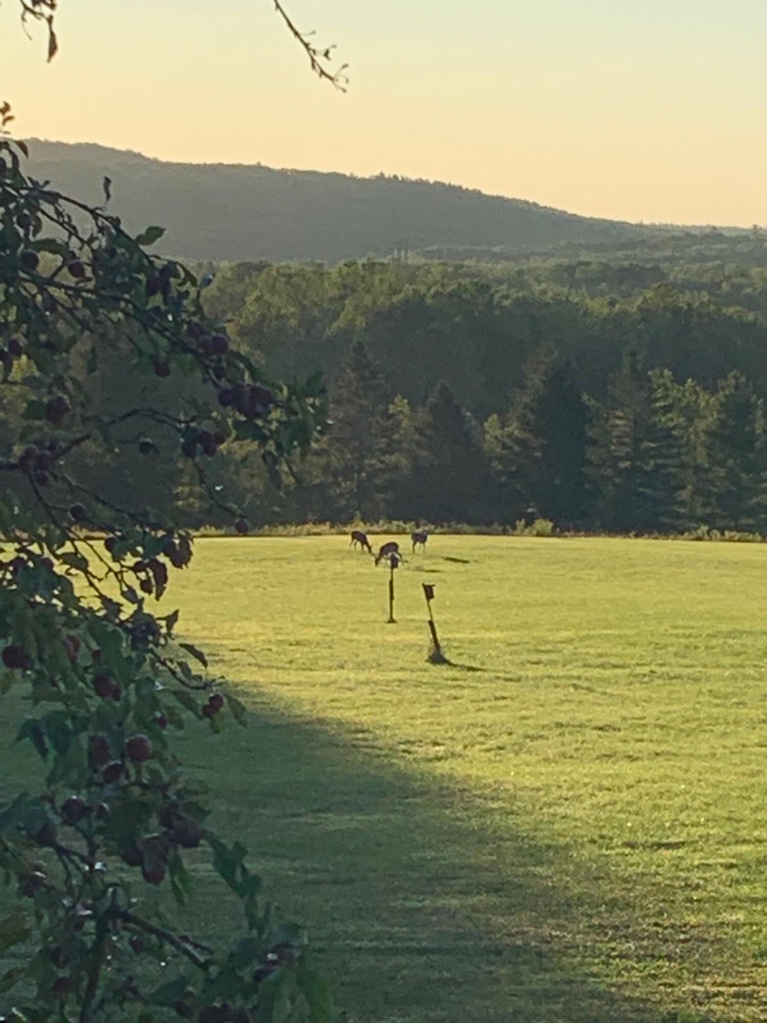 42 Fowler Road, Orrington, ME, 04474