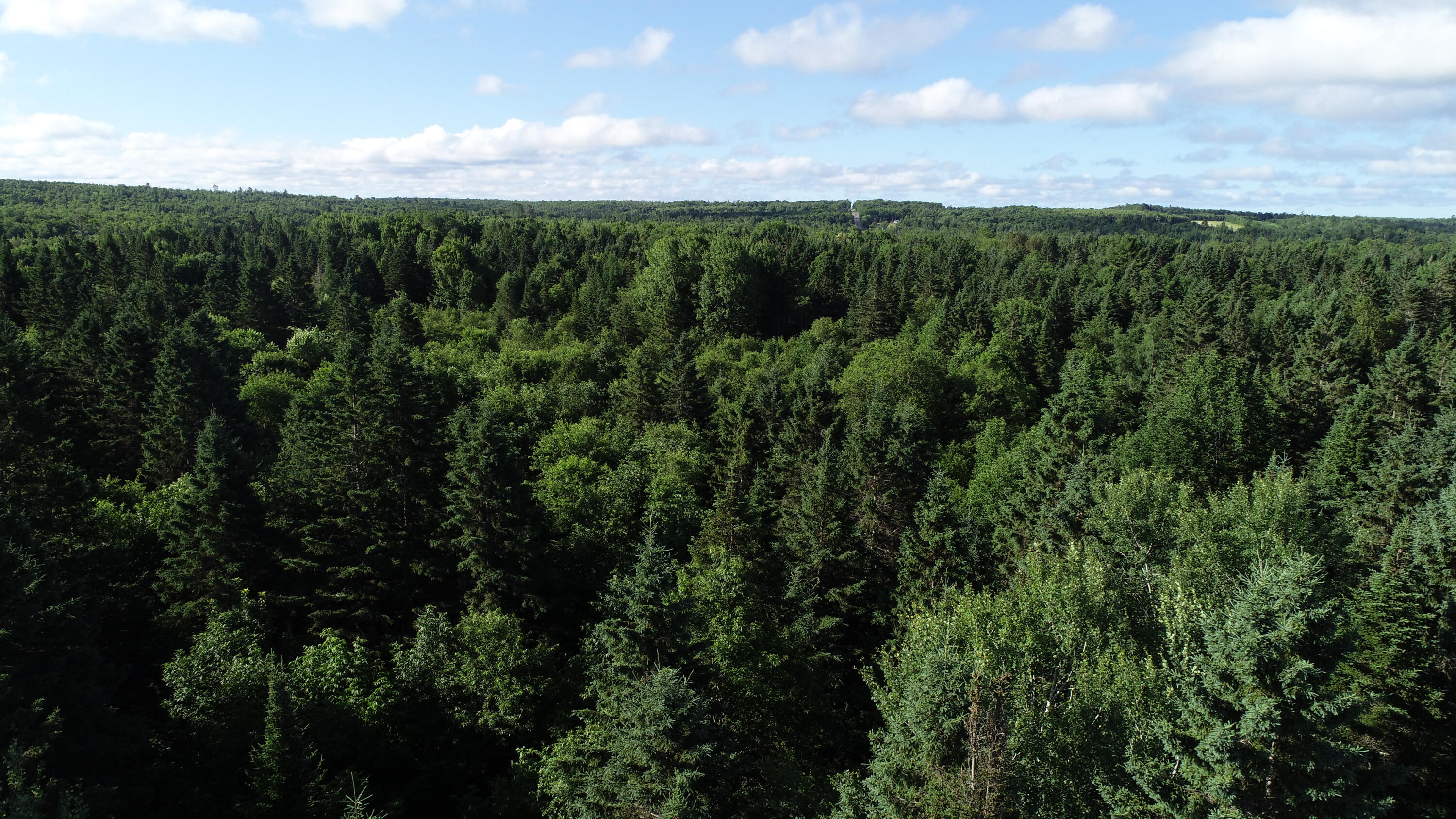 Lot 27 Brewer Road, Cary Plt, ME, 04471