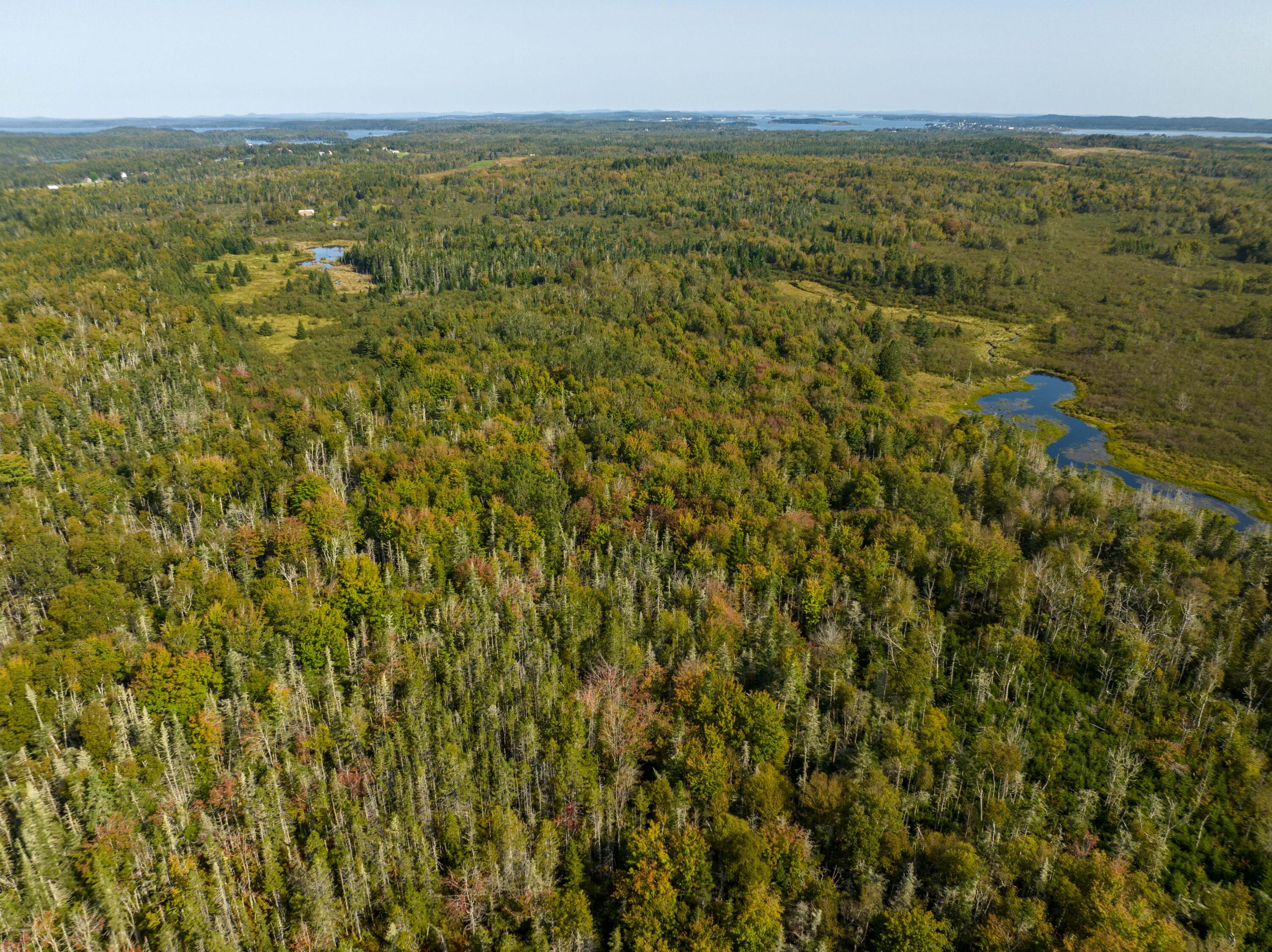 117 Denbow Road, Lubec, ME, 04652