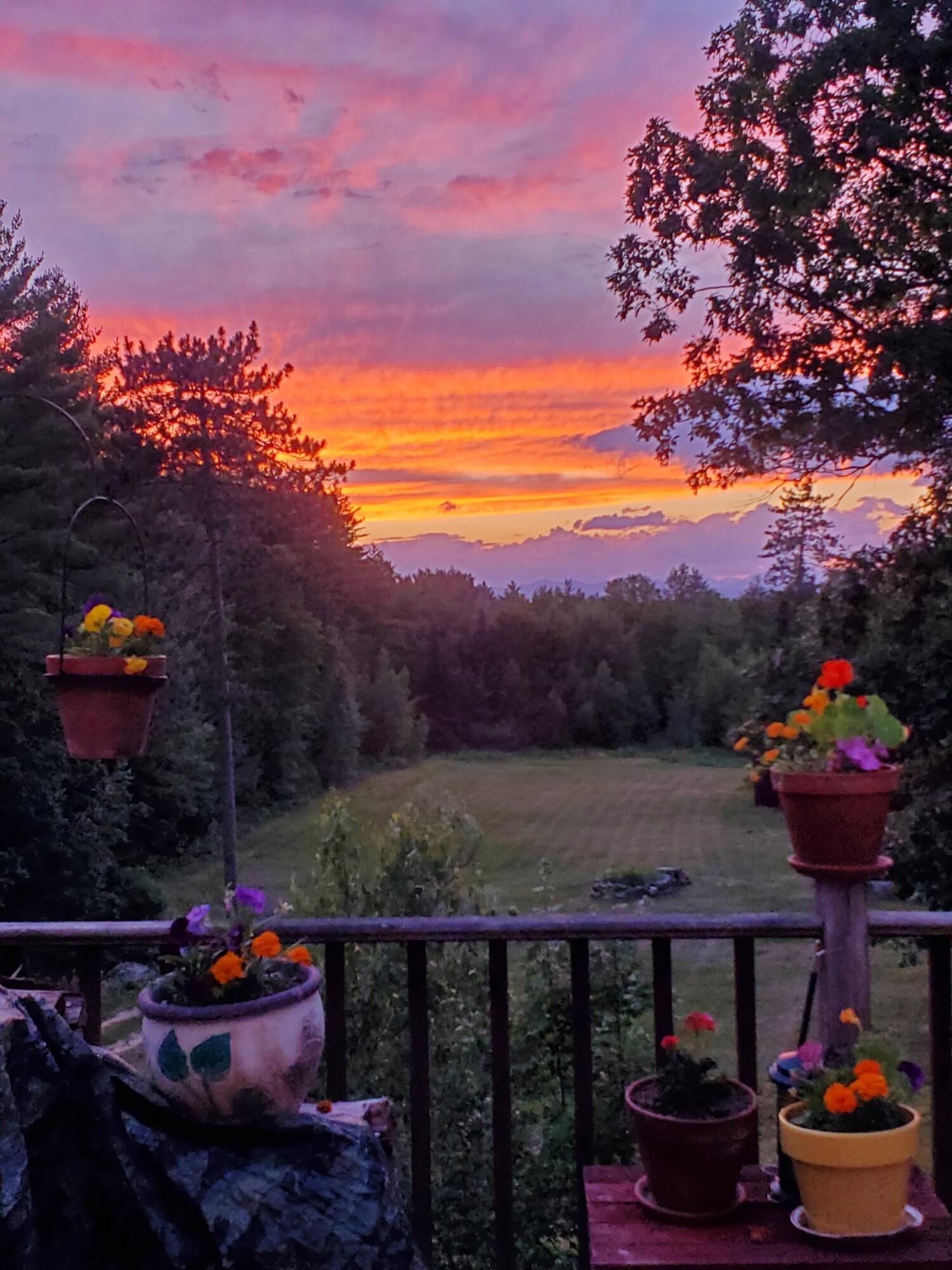 Rural Maine (10+ Acres)