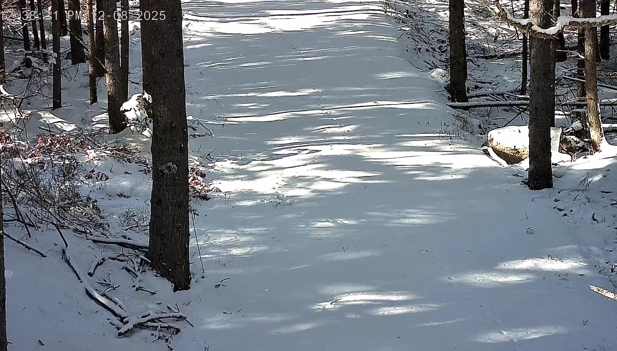 774 Spruce Head Road, Saint George, ME, 04858