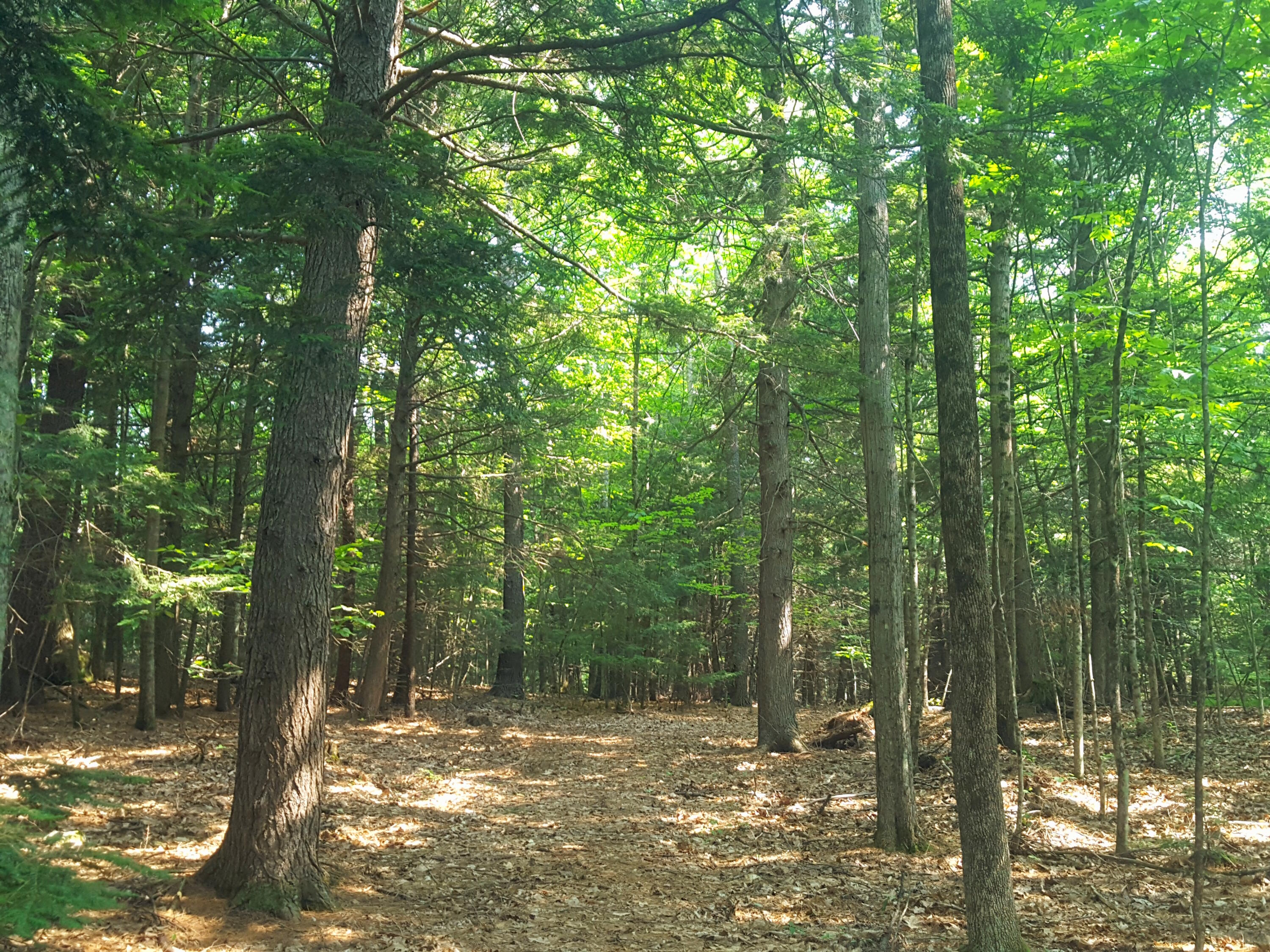 594 River Road Road, Windham, ME, 04062