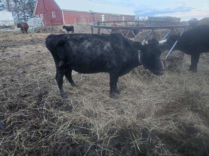 75 Doucette Road, Grand Isle, ME, 04746