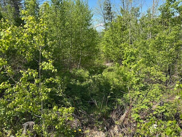 Lot 11 Mt. Jefferson Heights, Lee, ME, 04455