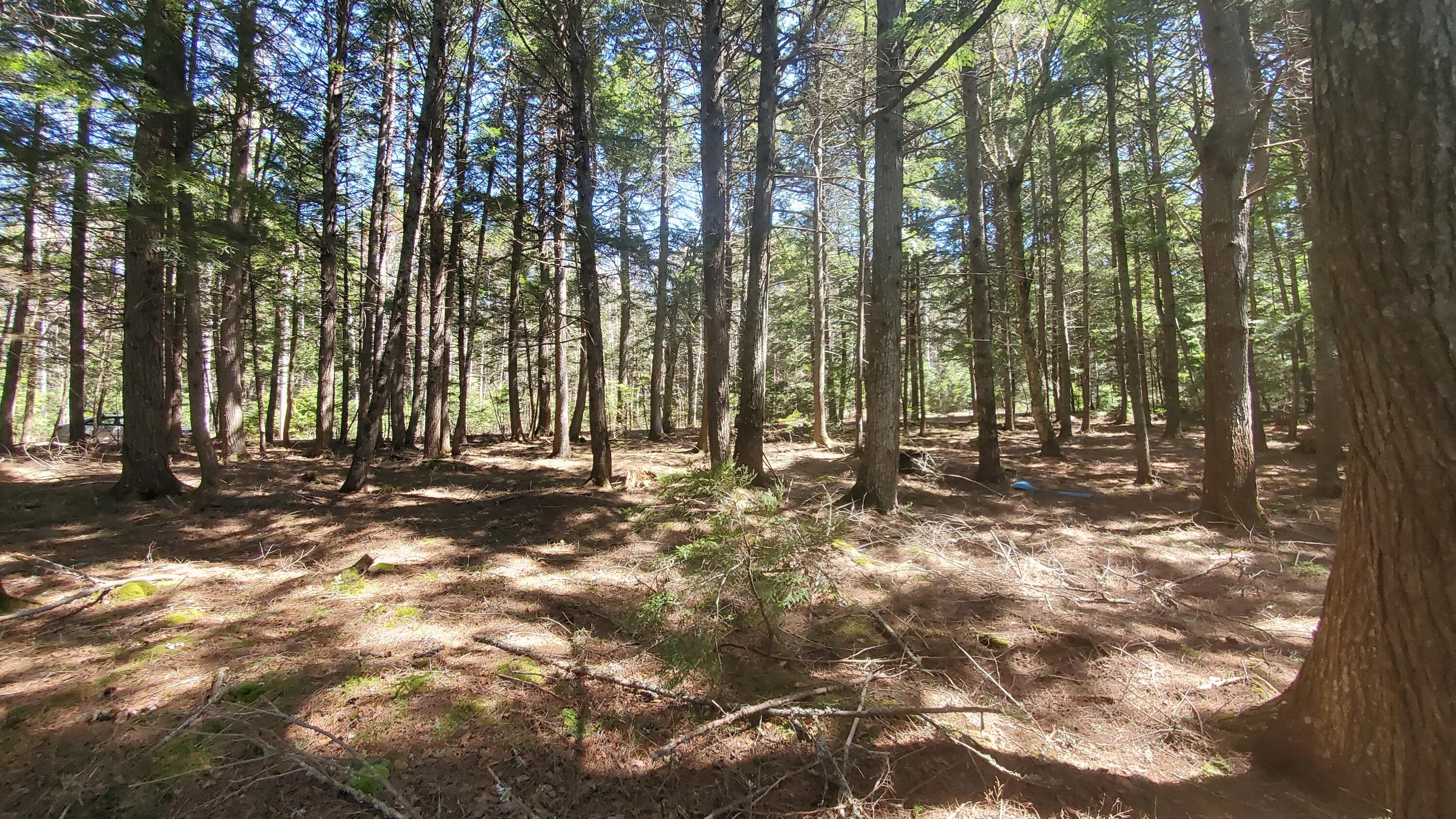 307 Lakeville Shores Road, Lakeville, ME, 04487