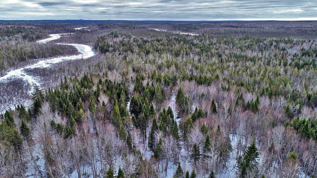 Lot 10A Fire Road, Linneus, ME, 04730