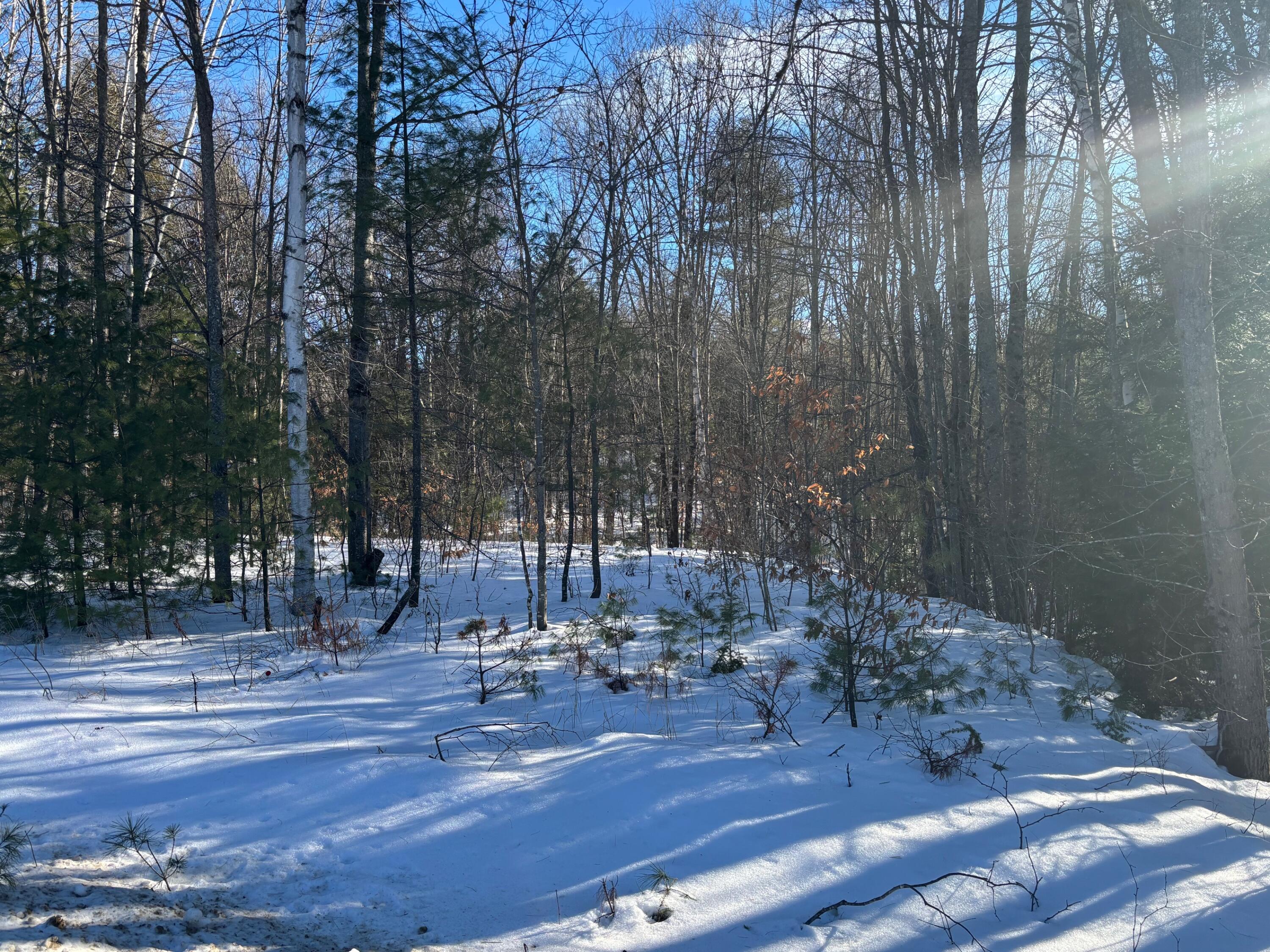 Lot 15-023 Intervale Road, Bethel, ME, 04217