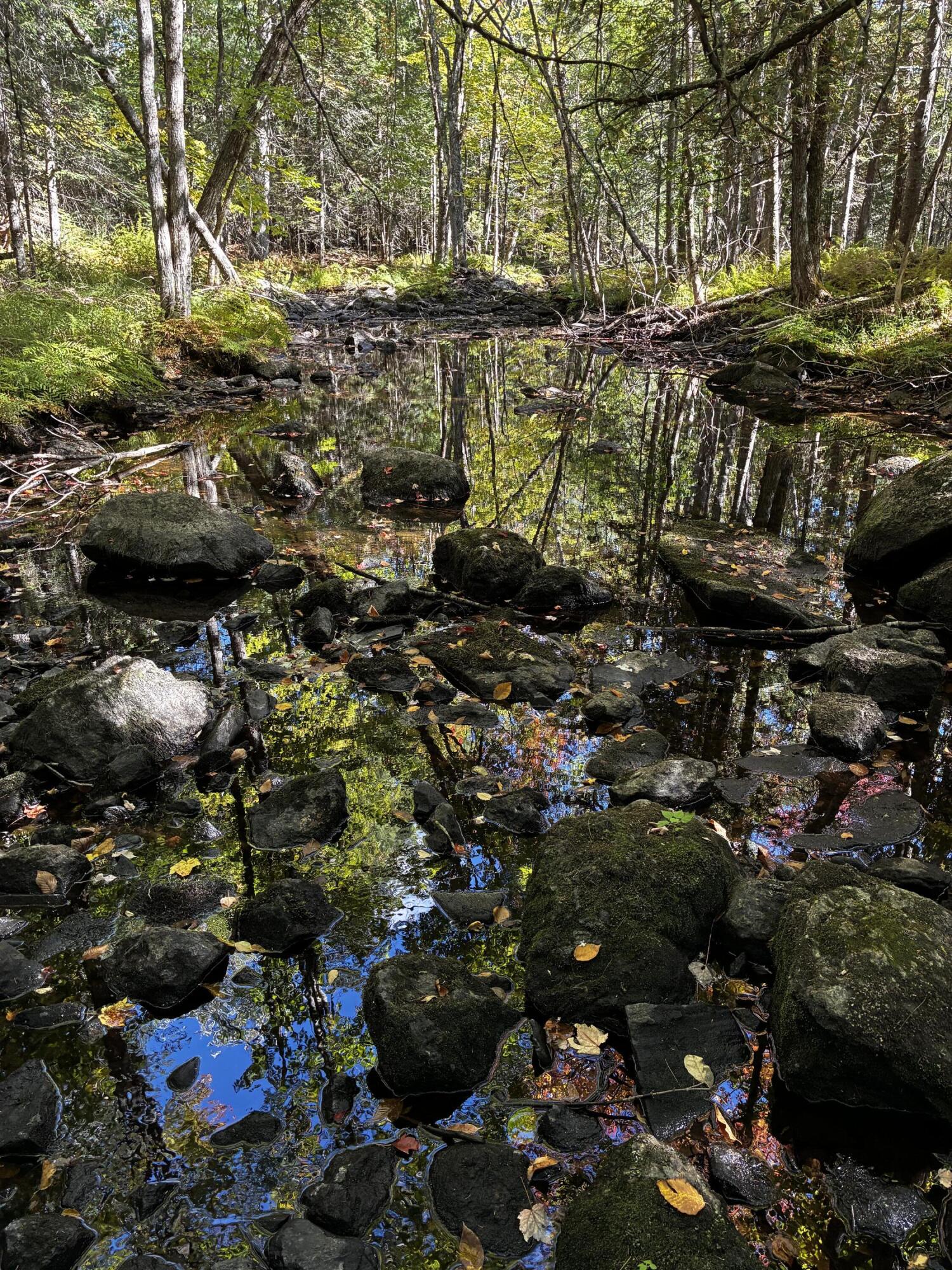 Photo of 49-51 Pleasant Street Norway ME 04268