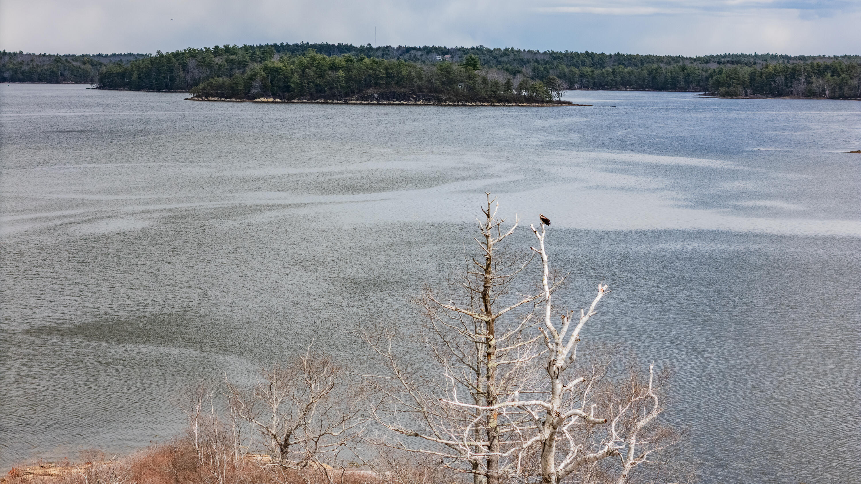 105 Mill Island Road, Arrowsic, ME, 04530